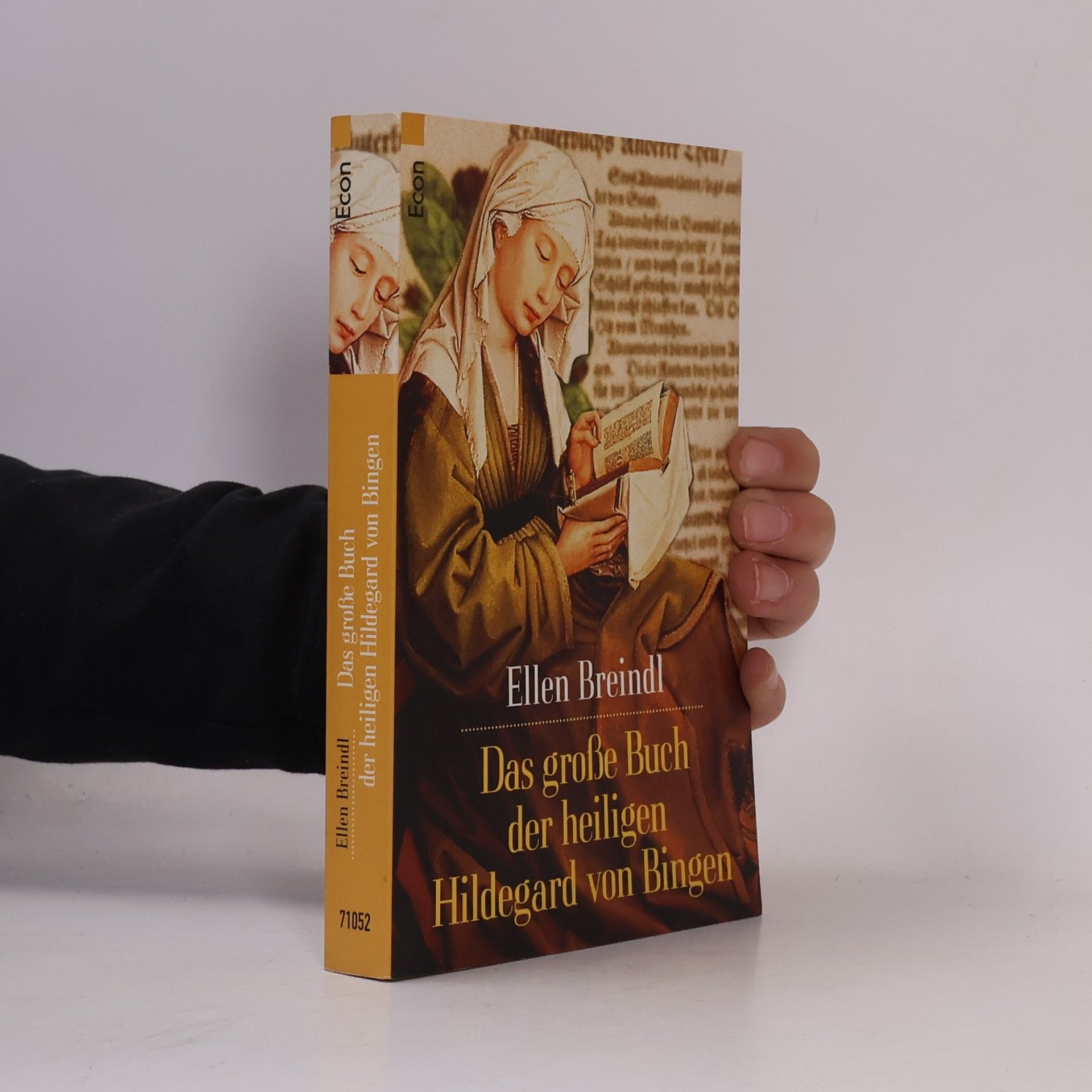 Das große Buch der Heiligen Hildegard von Bingen