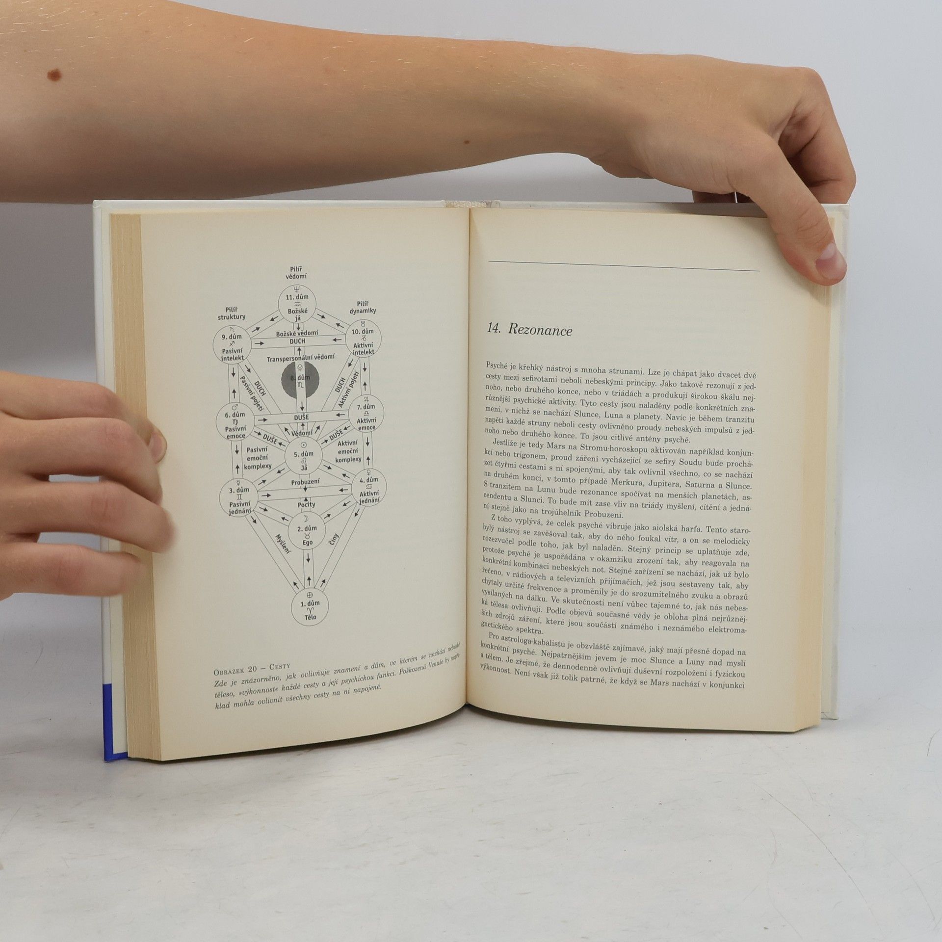 Zev Ben-Shimon Halevi Astrologie a kabala: Přepracování knihy Anatomie osudu
