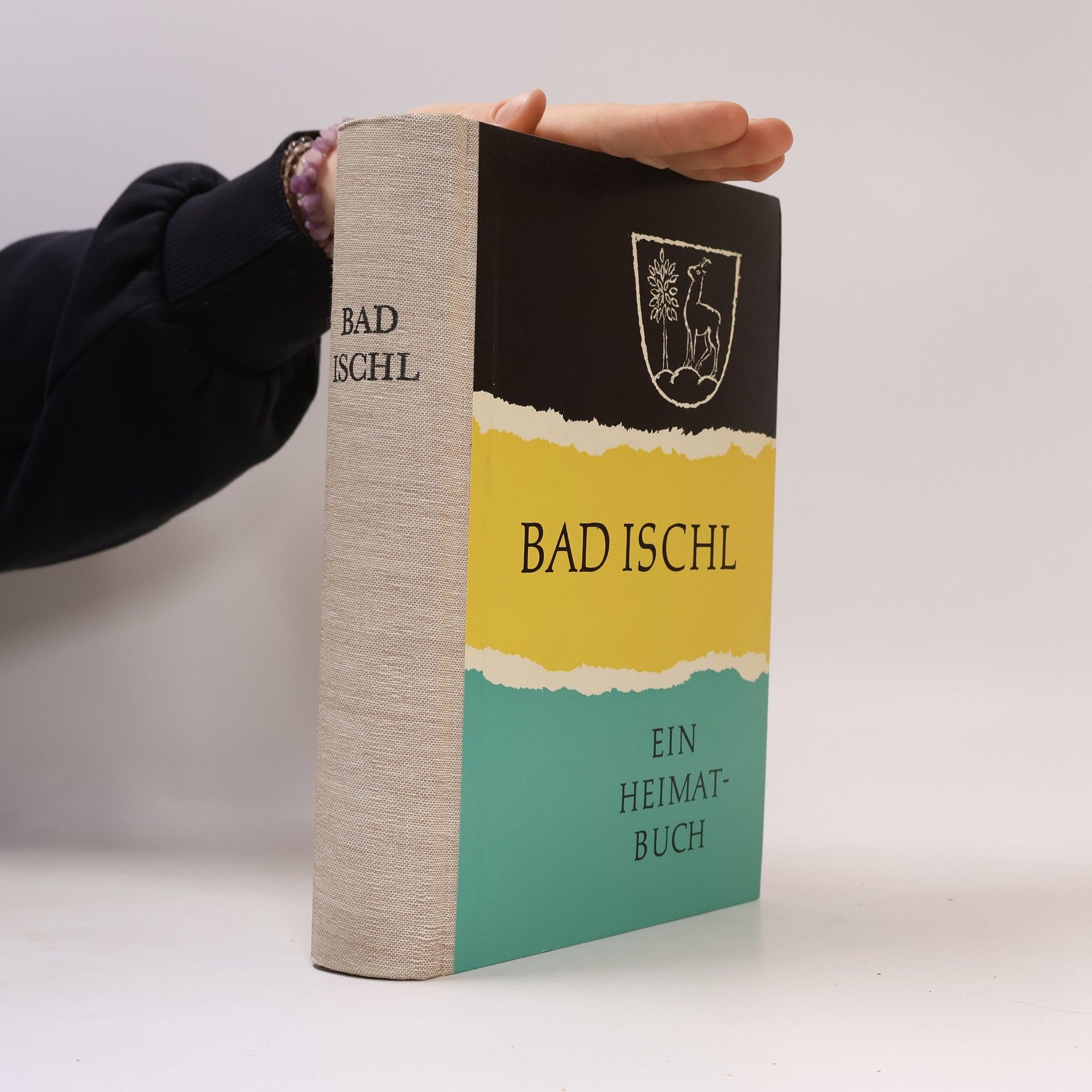 Franz Stöger Bad Ischl: Ein Heimatbuch
