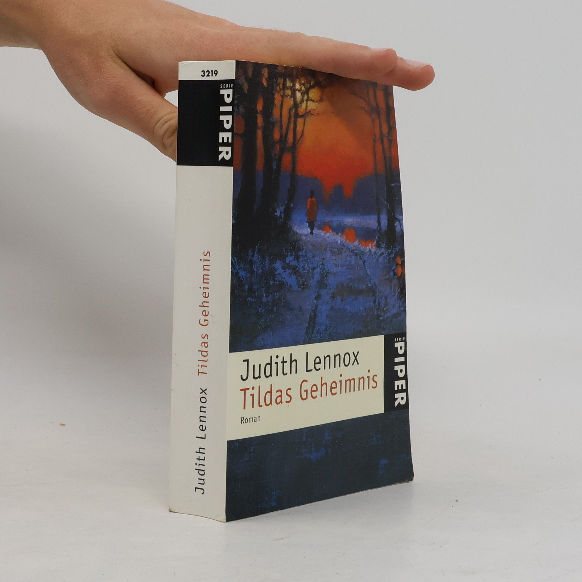 Judith Lennox Tildas Geheimnis