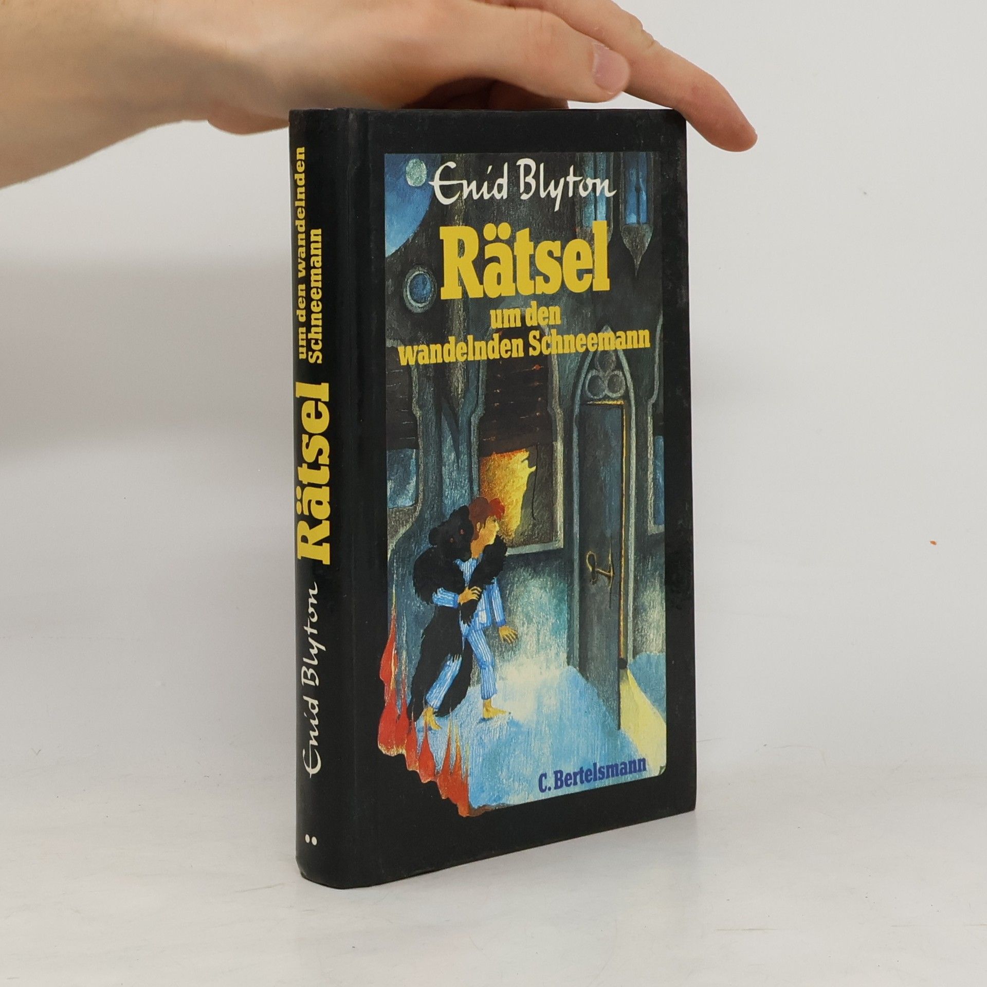 Enid Blyton Rätsel um den wandelden Schneemann