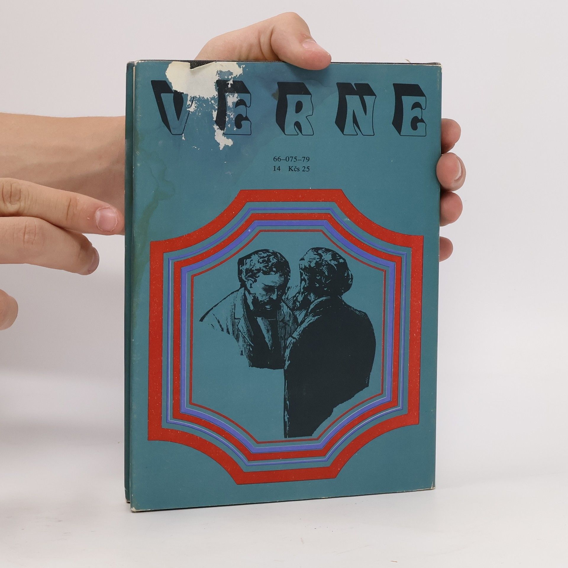 Jules Verne Bratia Kipovci