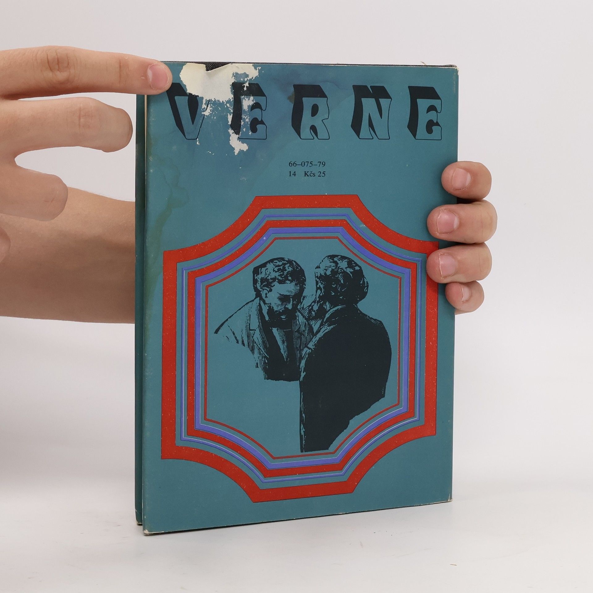 Jules Verne Bratia Kipovci