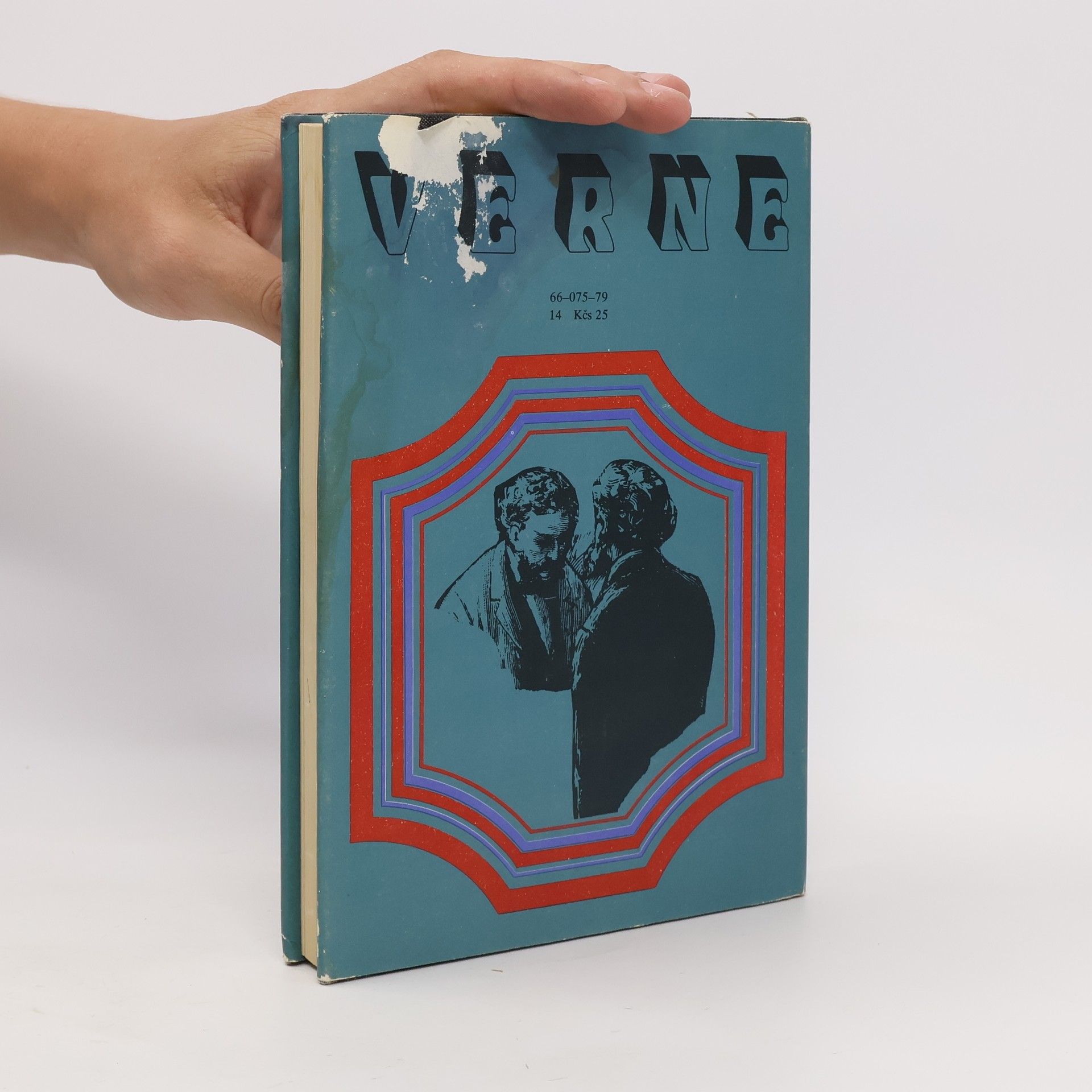 Jules Verne Bratia Kipovci