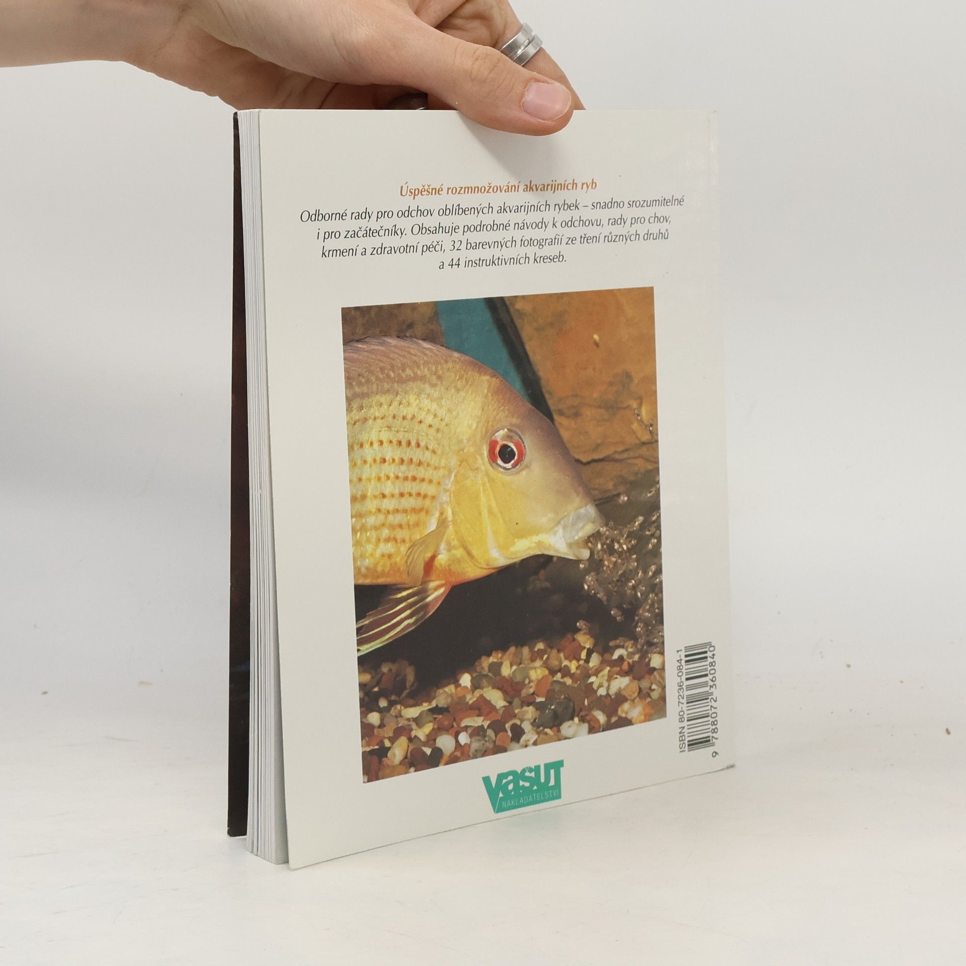 Ines Scheurmann Akvarijní rybky: Návody k odchovu cichlid, teter, sumců a dalších oblíbených rybek: Rady pro zařízení vytíraček