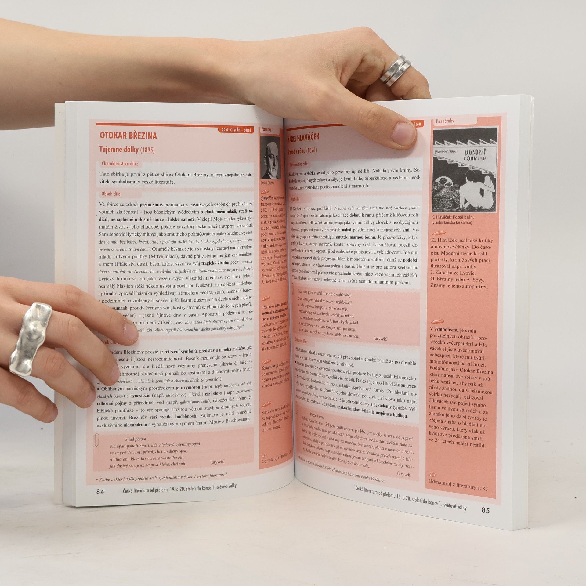 Iveta Havlíčková Odmaturuj! z literatury 2
