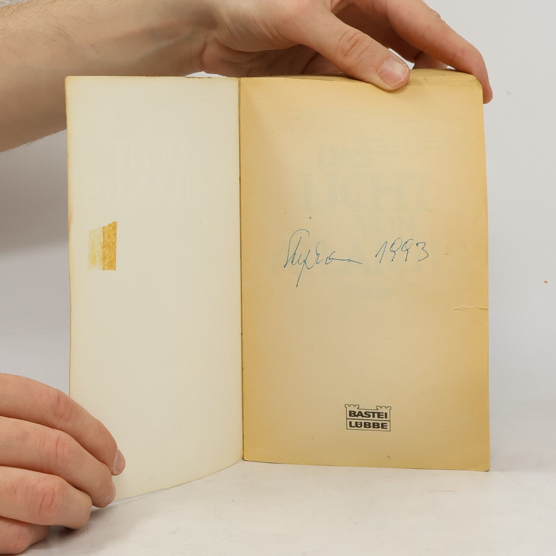 Marion Zimmer Bradley Das Licht von Atlantis