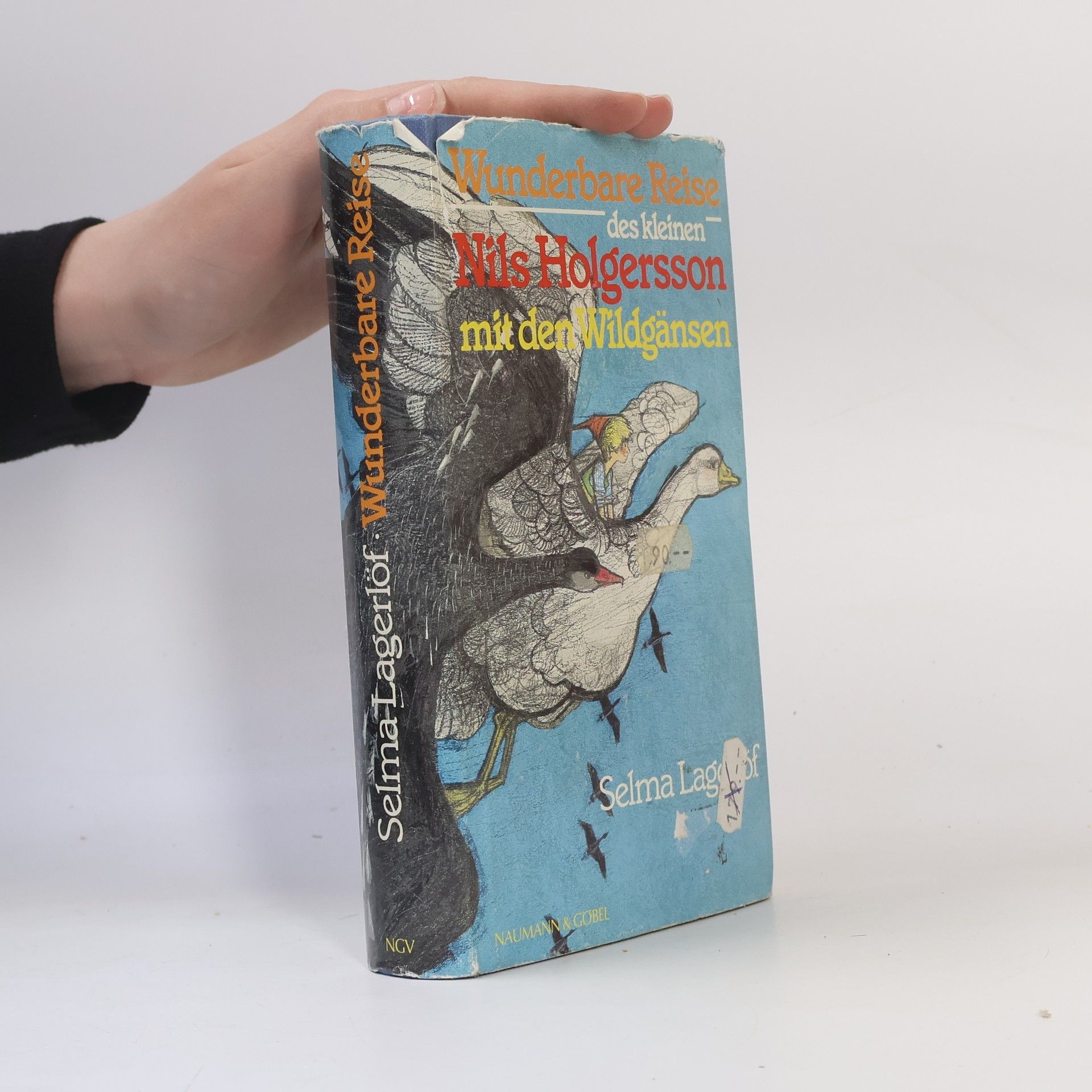 Selma Lagerlöf Nils Holgerssons wunderbare Reise