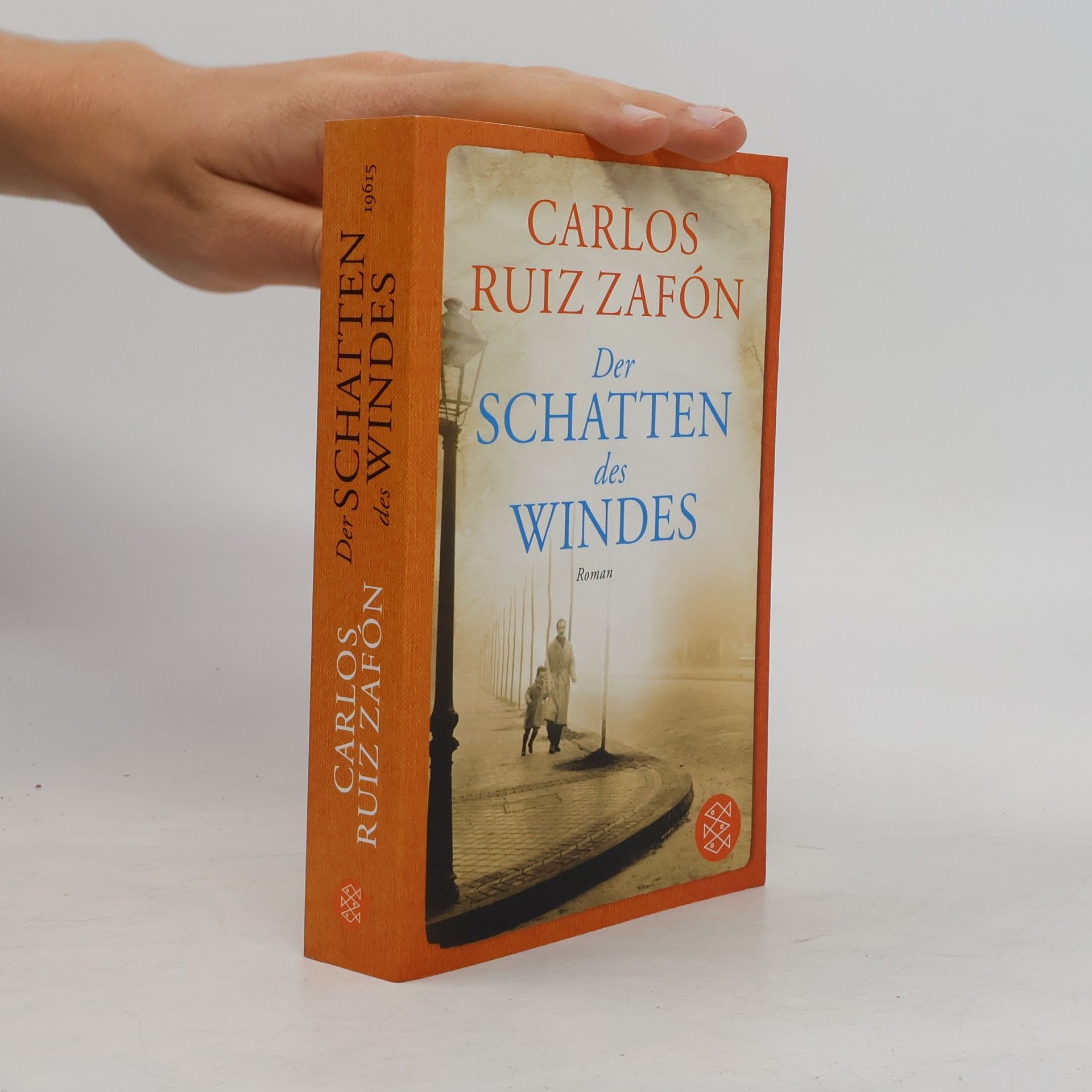 Carlos Ruiz Zafón Der Schatten des Windes