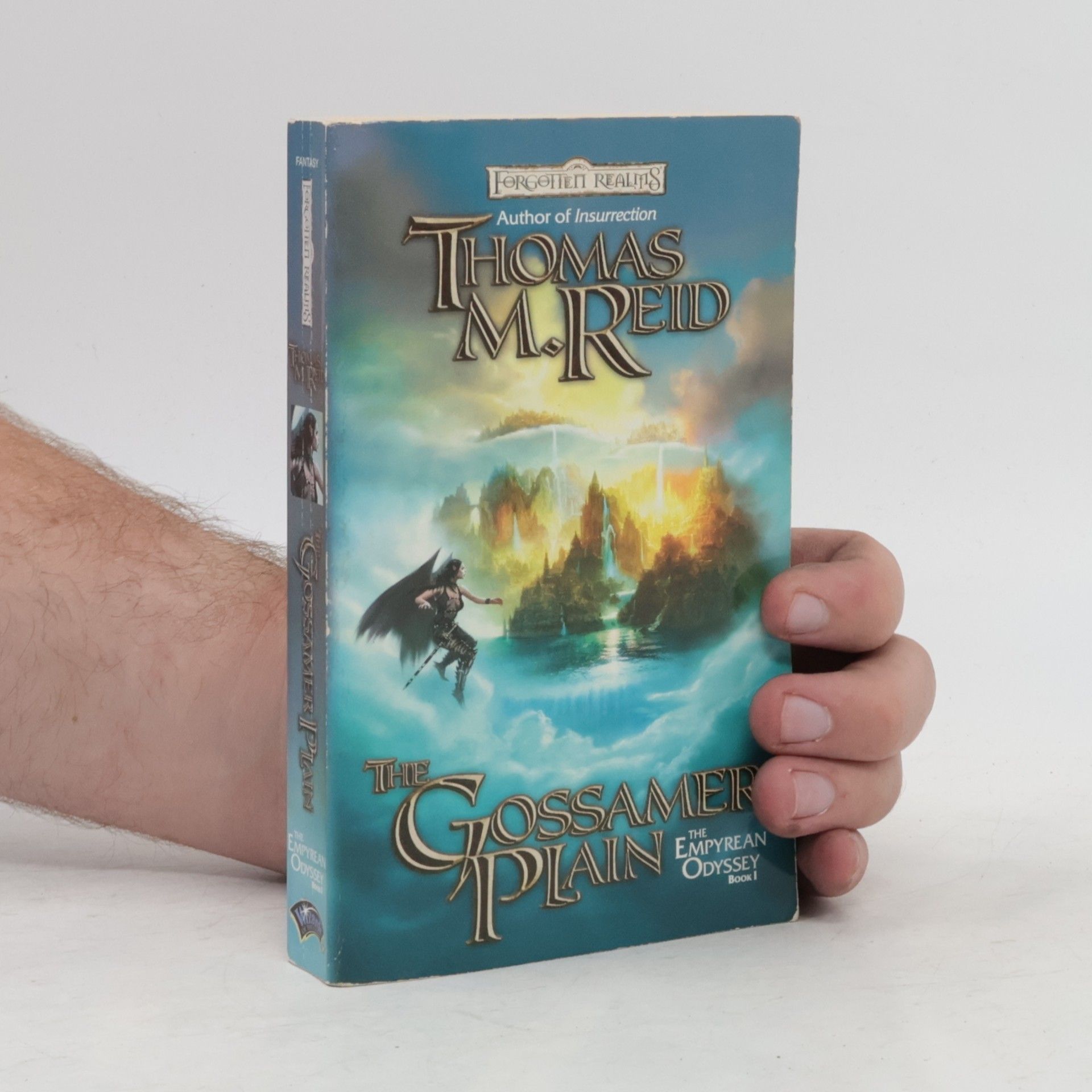 Forgotten Realms: The Empyrean Odyssey - 1: The Gossamer Plain