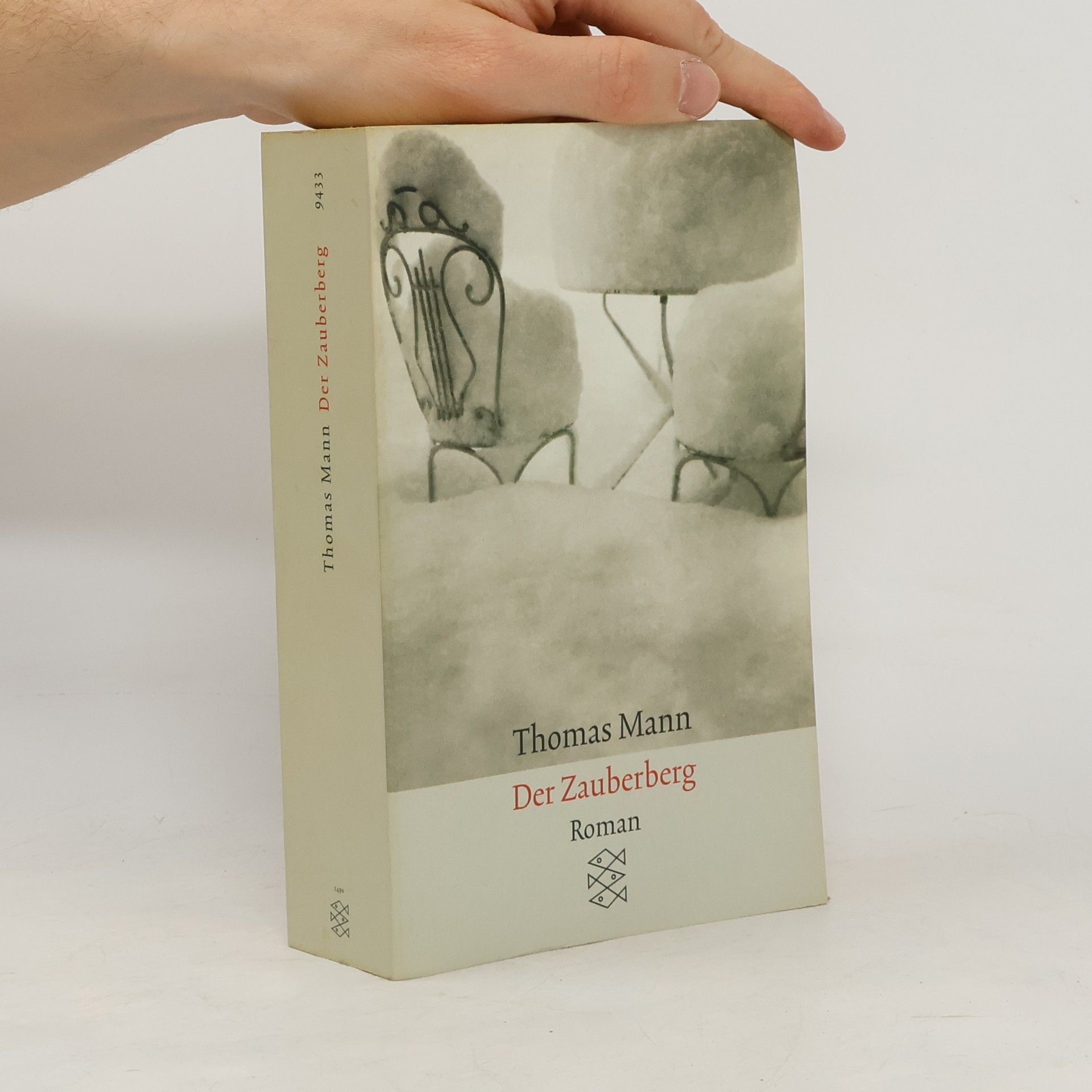 Thomas Mann Der Zauberberg