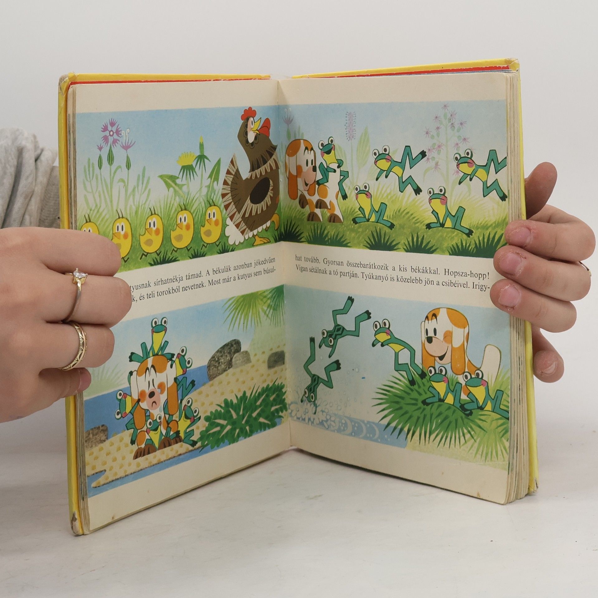 Various authors A vakond nadrágja és más történetek