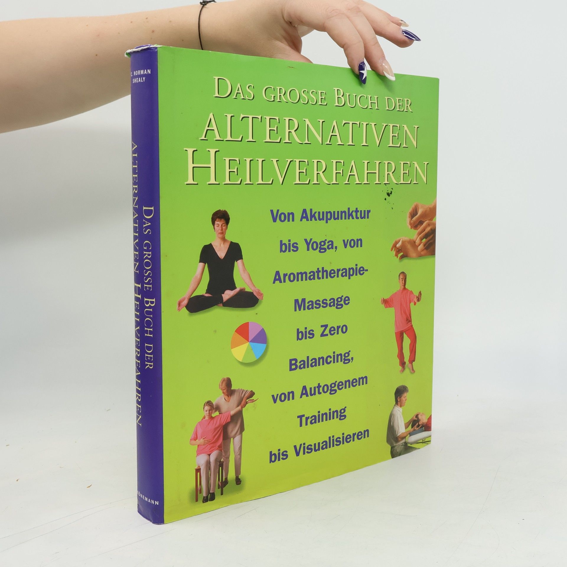 Clyde Norman Shealy Das große Buch der alternativen Heilverfahren