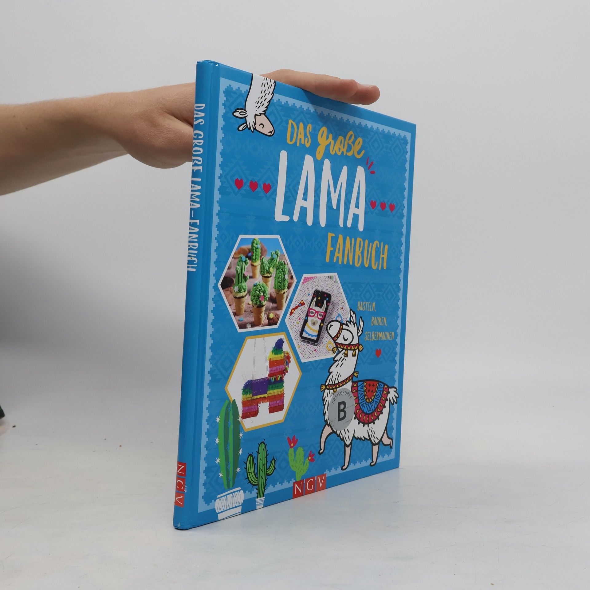 Autorenkollektiv Das große Lama Fanbuch