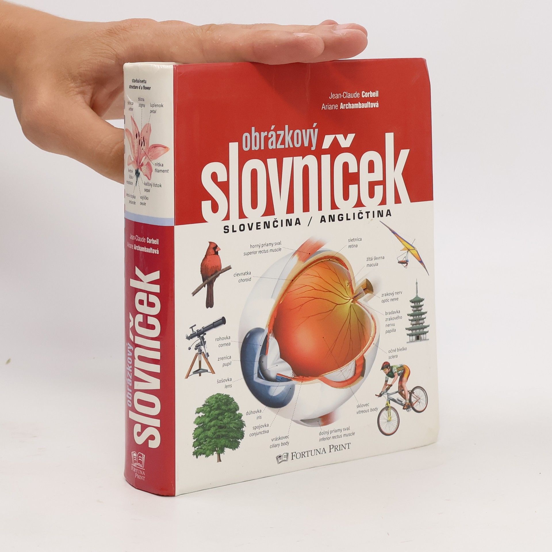 Ariane Archambault Obrázkový slovníček, Slovenčina / Angličtina