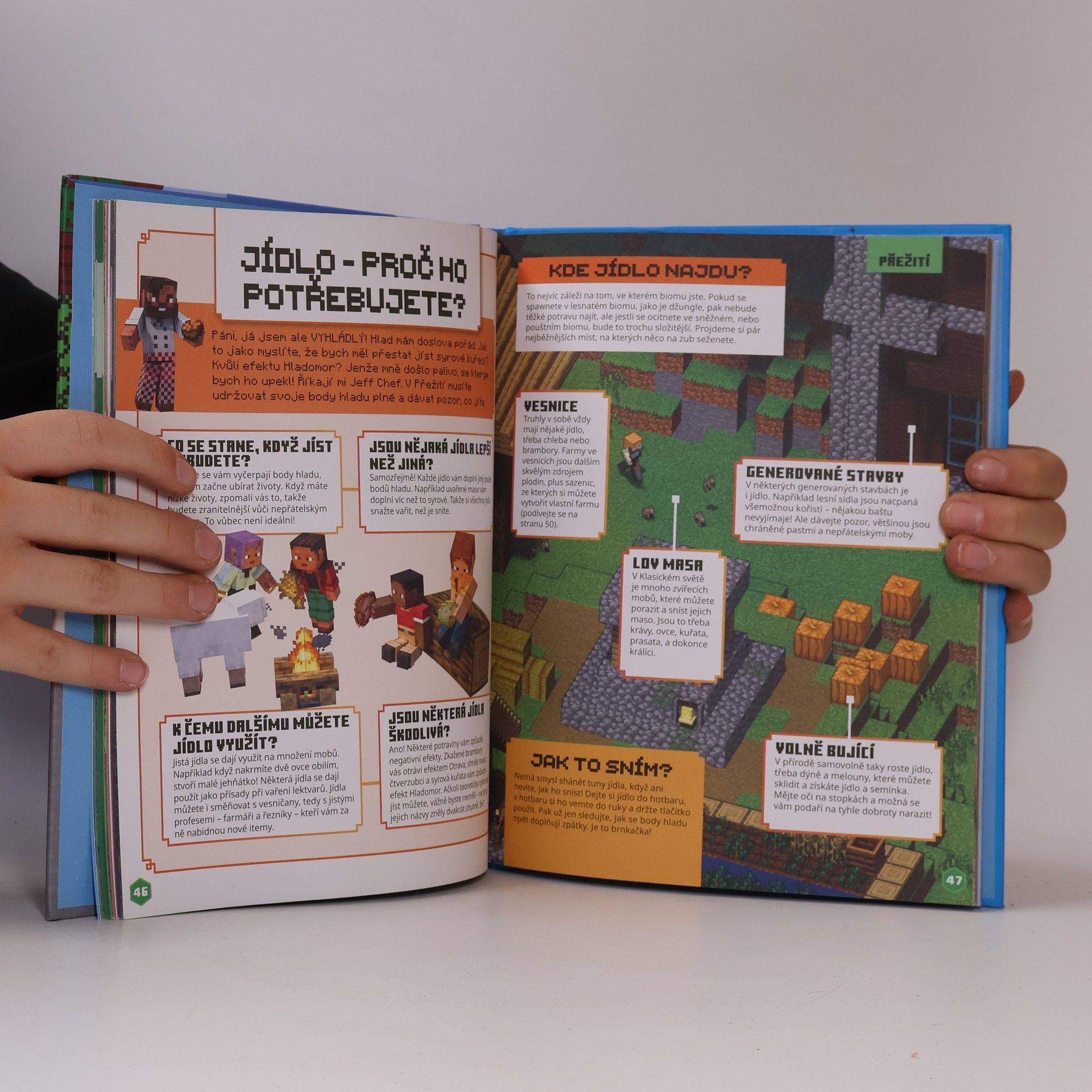 Kolektiv autorů Minecraft - Začínáme hrát - Úplně nové vydání