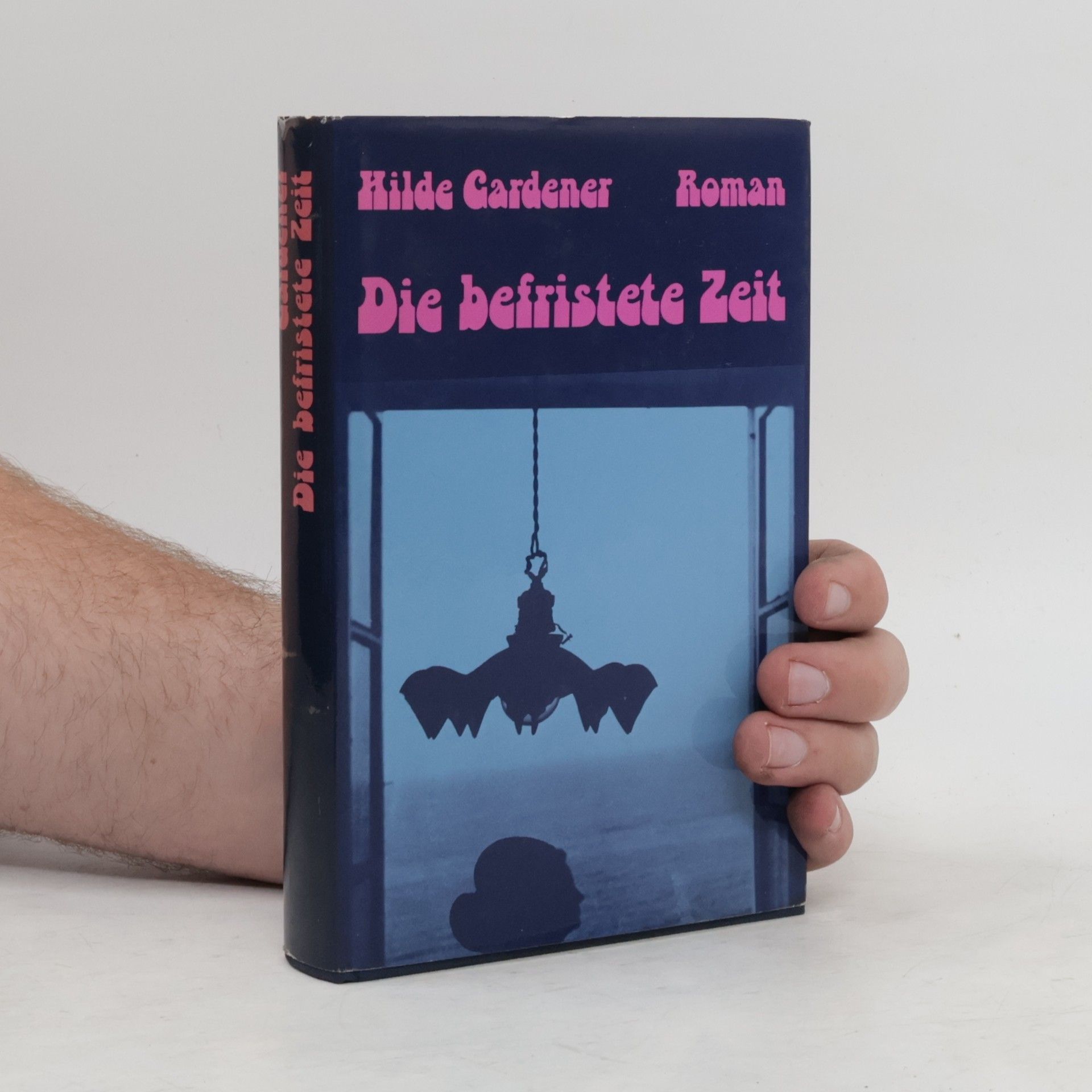 Die befristete Zeit. Roman einer Bewältigung