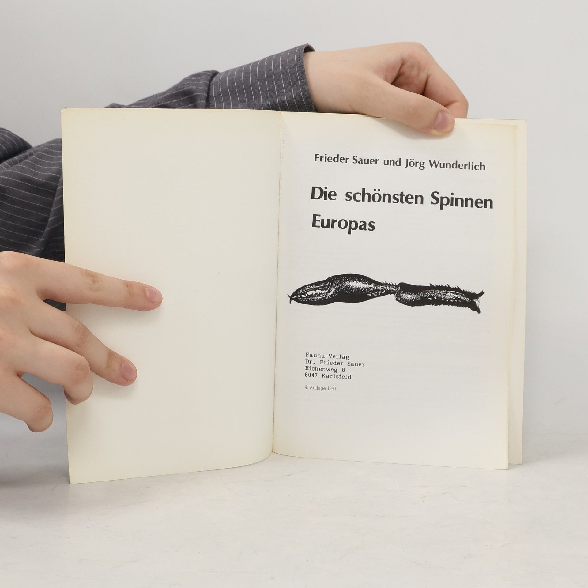 Friedhelm Sauer Die Schönsten Spinnen Europas
