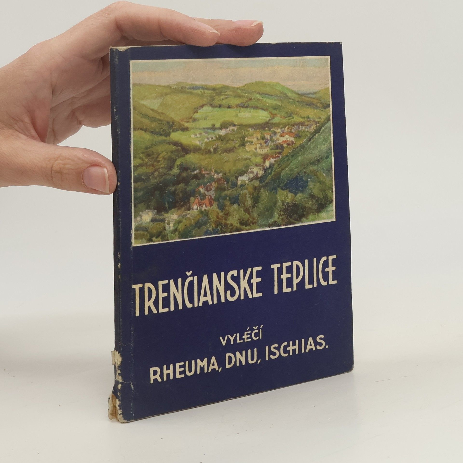 Kolektiv autorů Trenčianske Teplice vyléčí rheuma, dnu, ischias