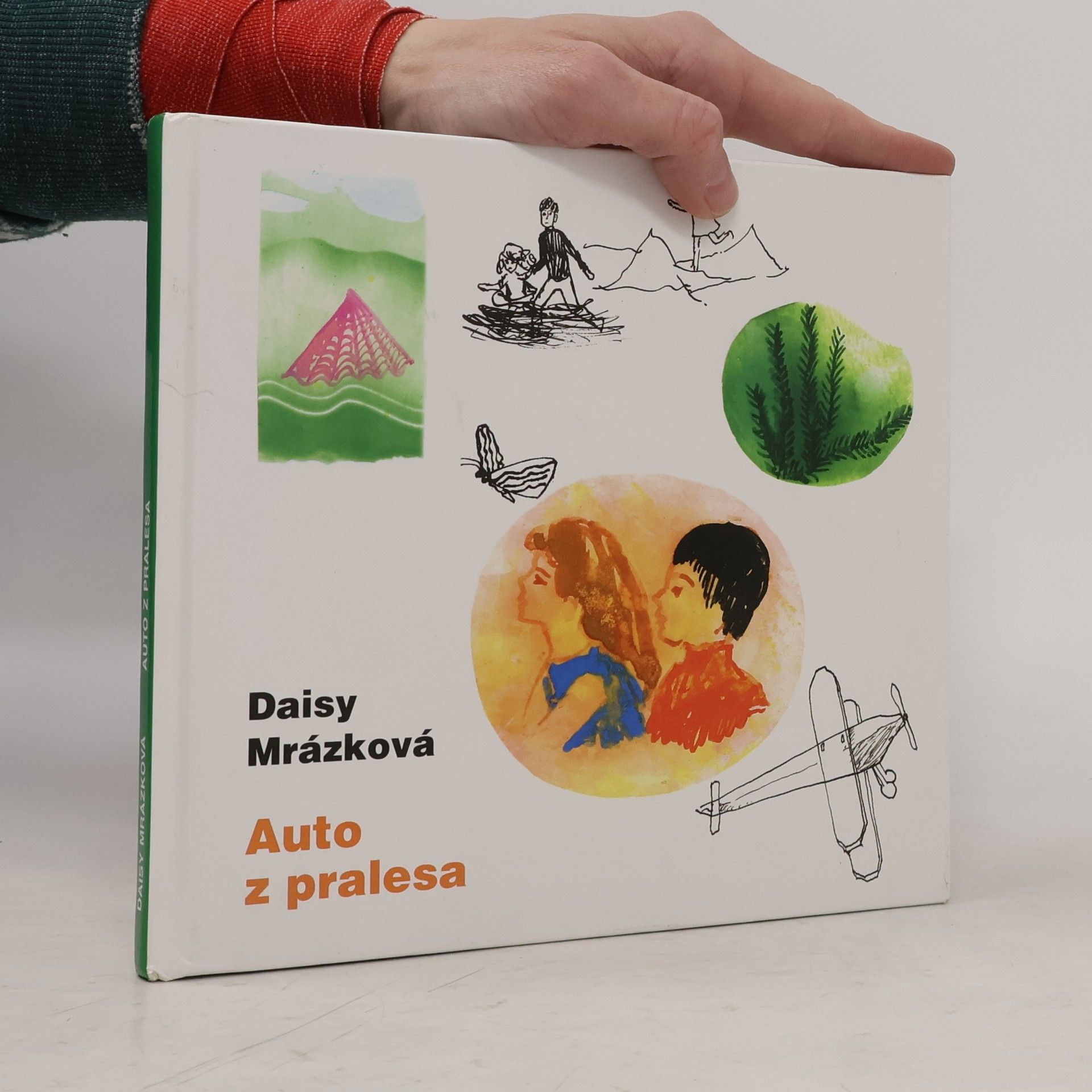 Auto z pralesa