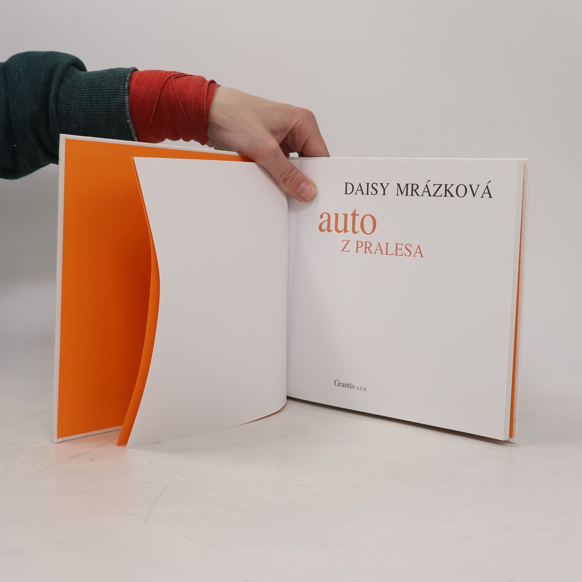 Daisy Mrázková Auto z pralesa