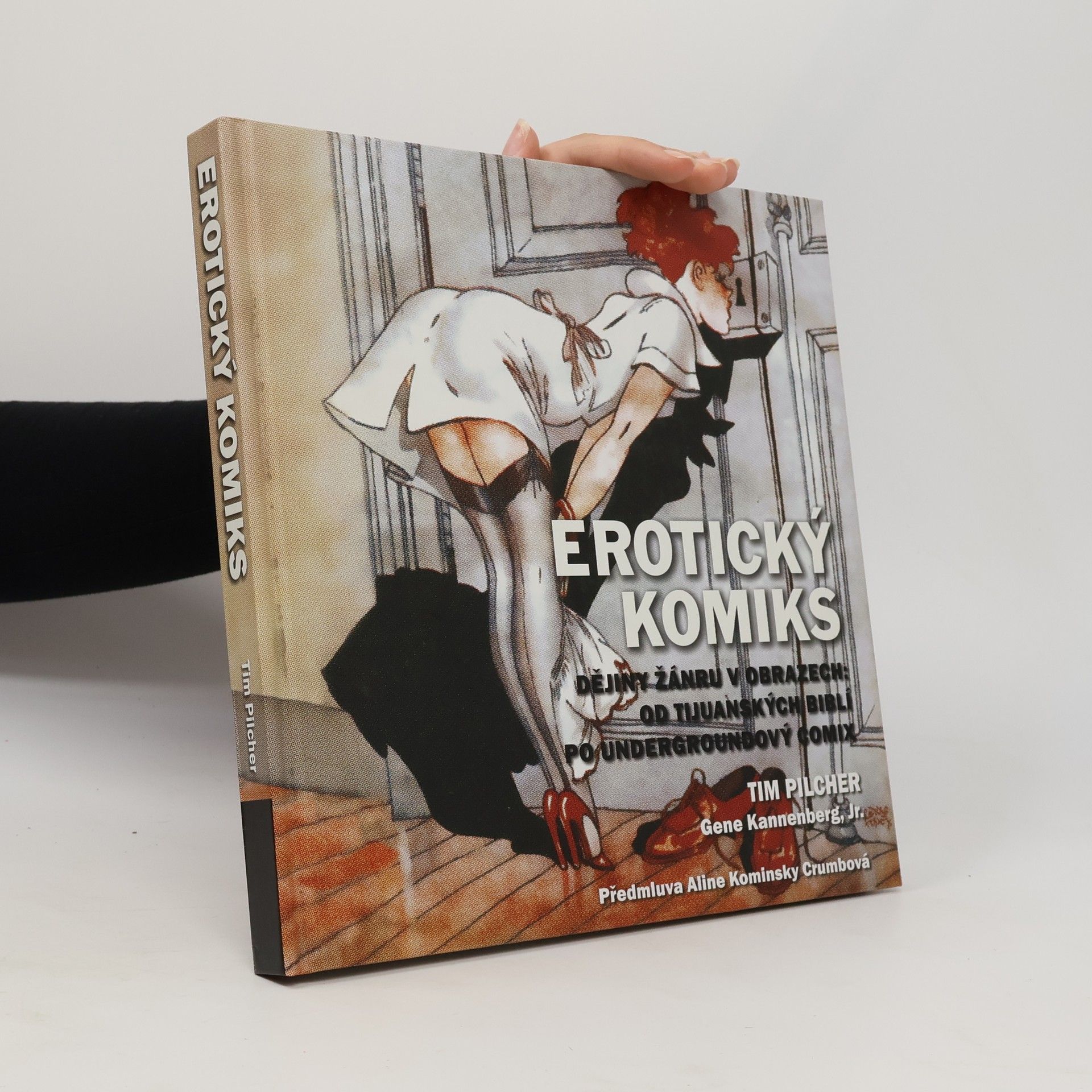 Tim Pilcher Erotický komiks: Dějiny žánru v obrazech