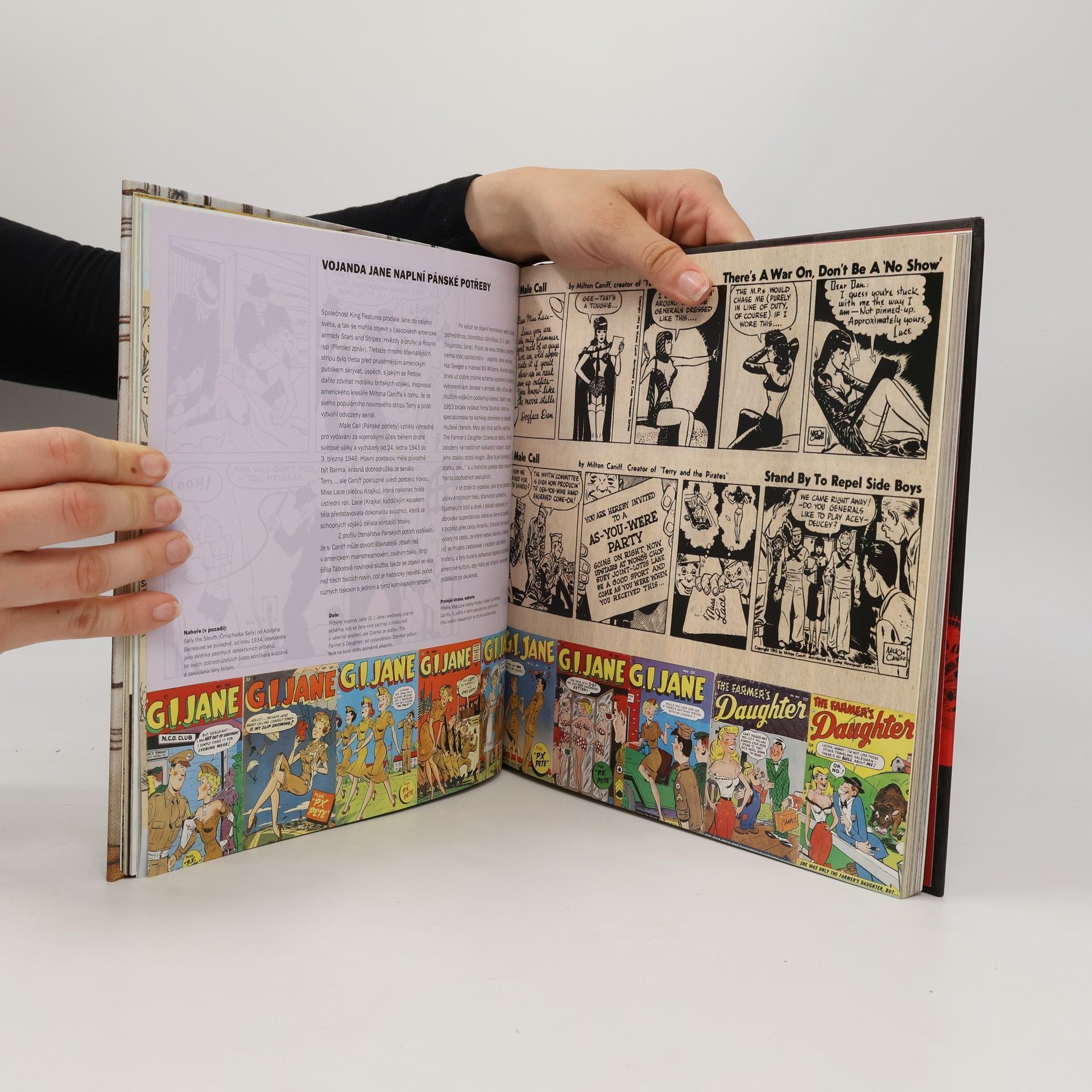 Tim Pilcher Erotický komiks: Dějiny žánru v obrazech