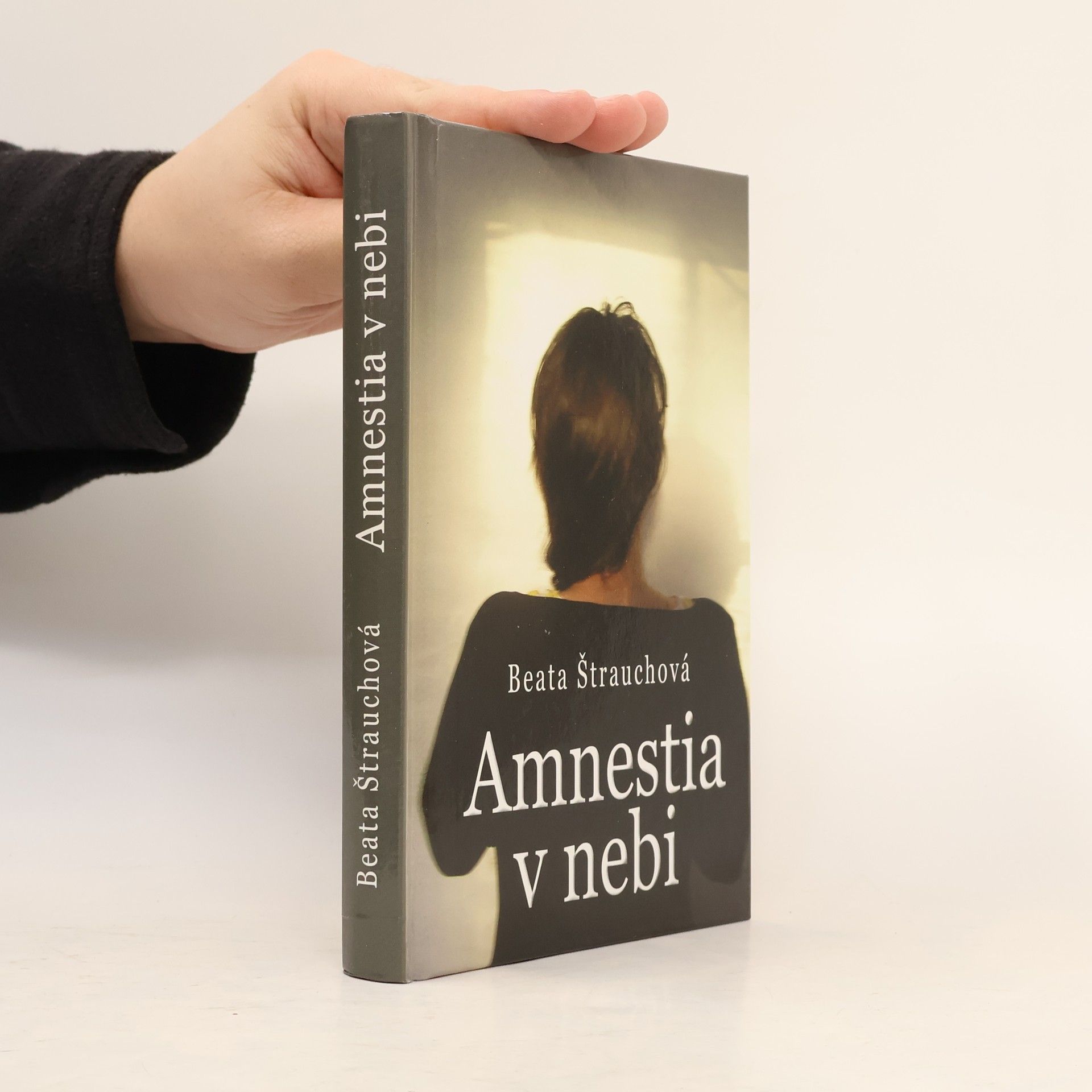Beata Štrauchová Amnestia v nebi