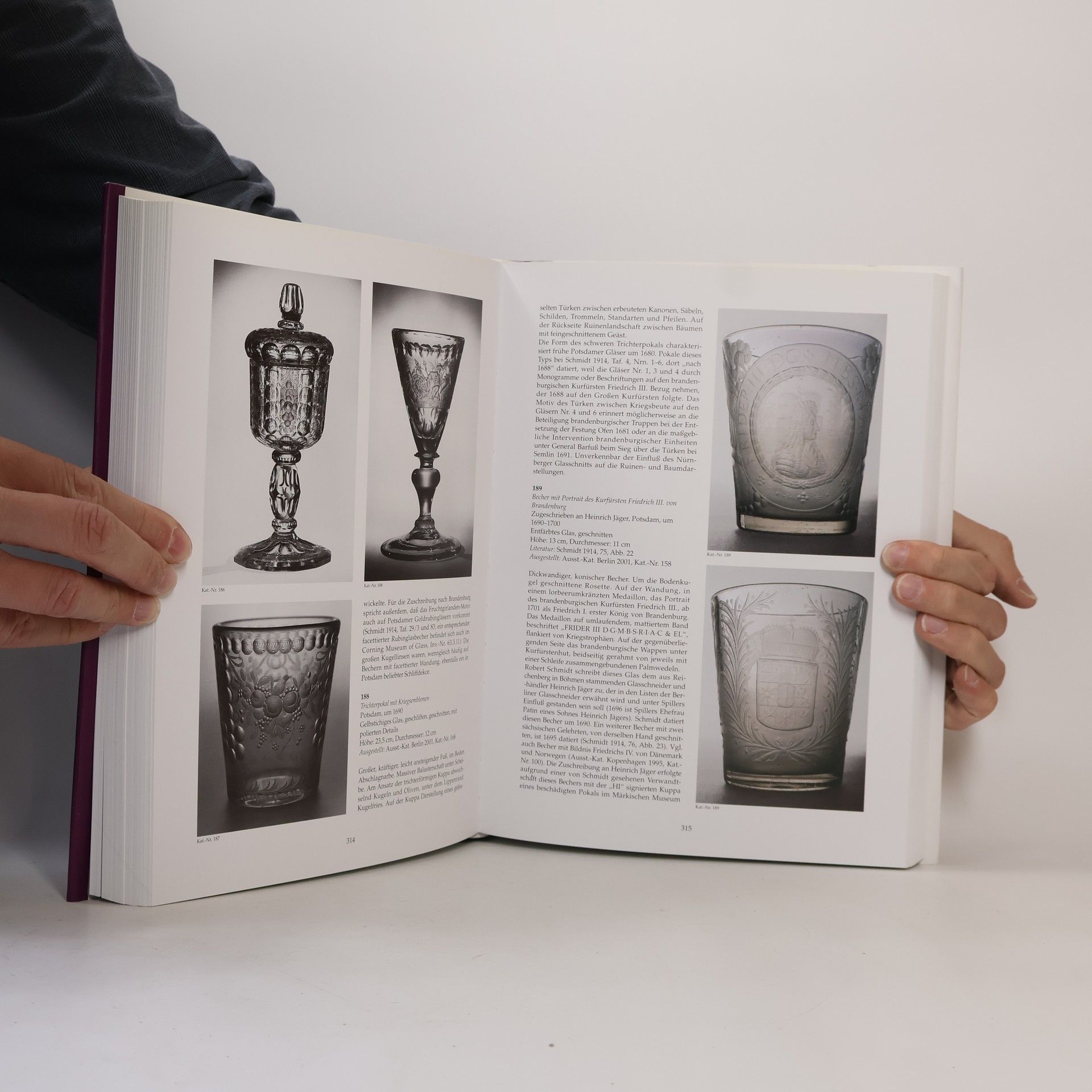 Rudolf von Strasser Schriften des Kunsthistorischen Museums - 7: Licht und Farbe