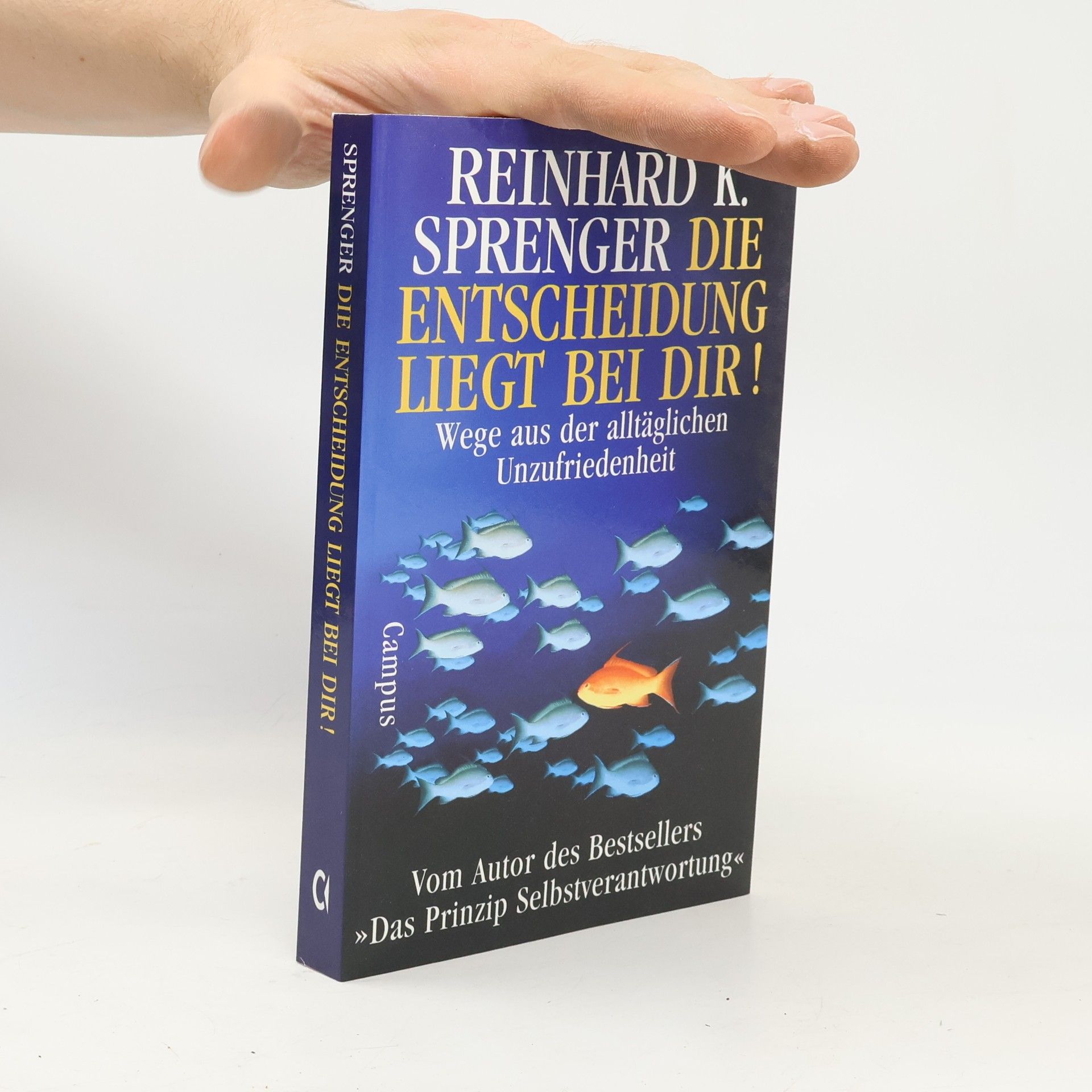 Reinhard Sprenger Die Entscheidung liegt bei dir!