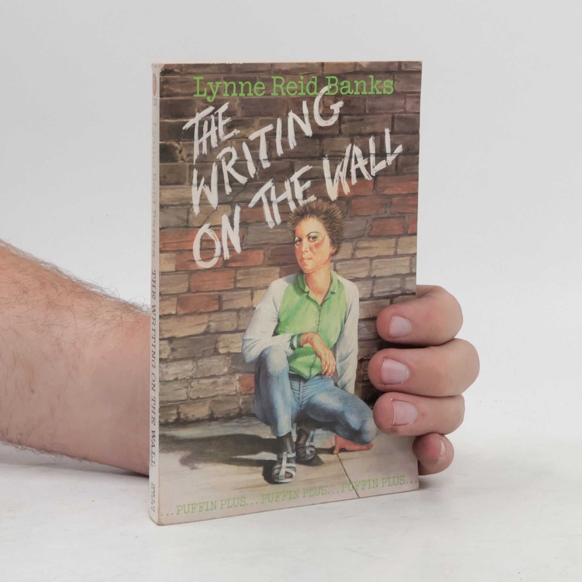 Lynne Reid Banks The Writing on the Wall