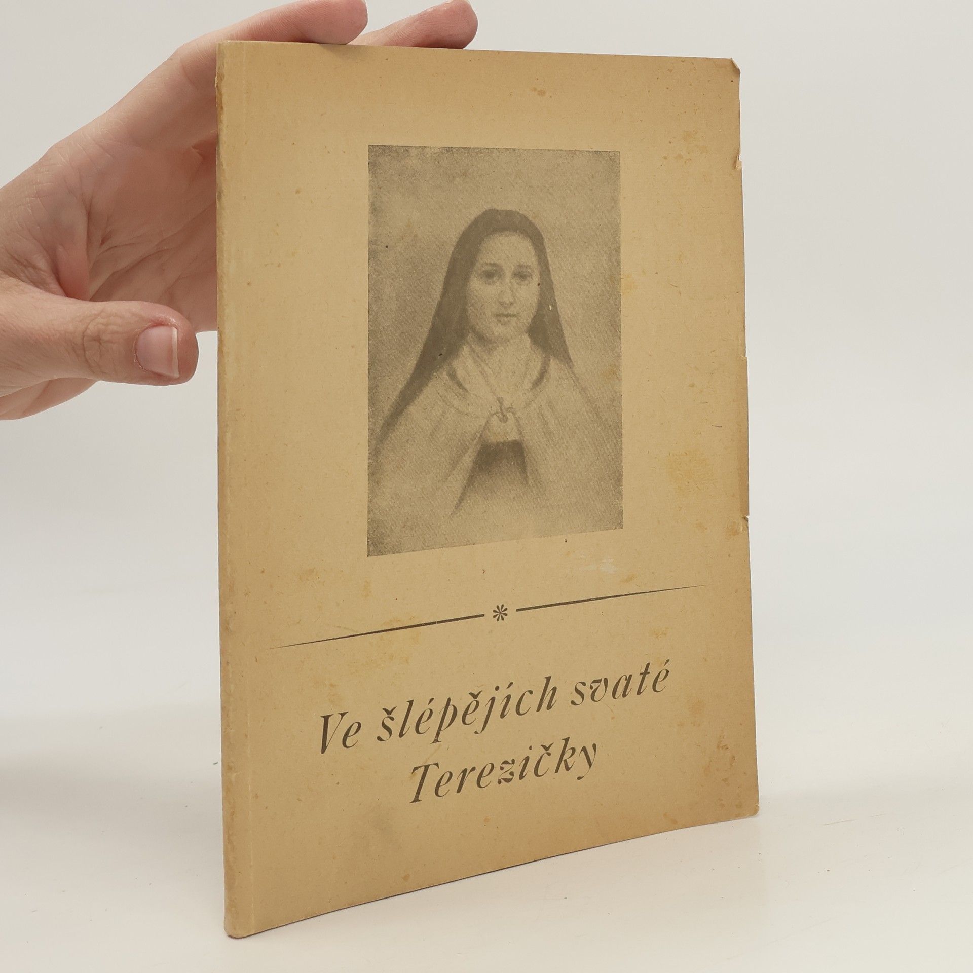 Kolektiv autorů Ve šlépějích svaté Terezičky