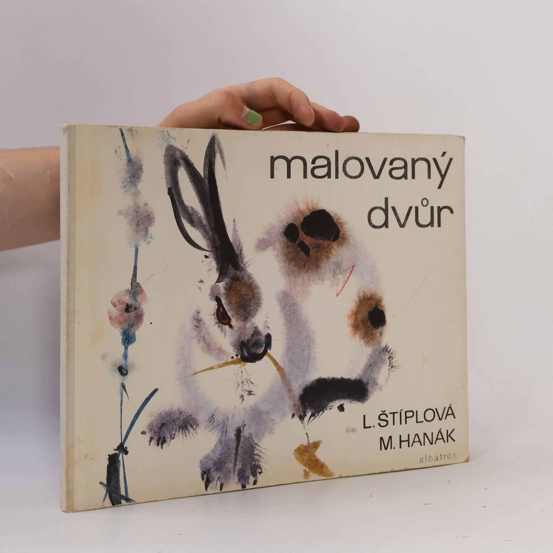 Ljuba Štíplová Malovaný dvůr