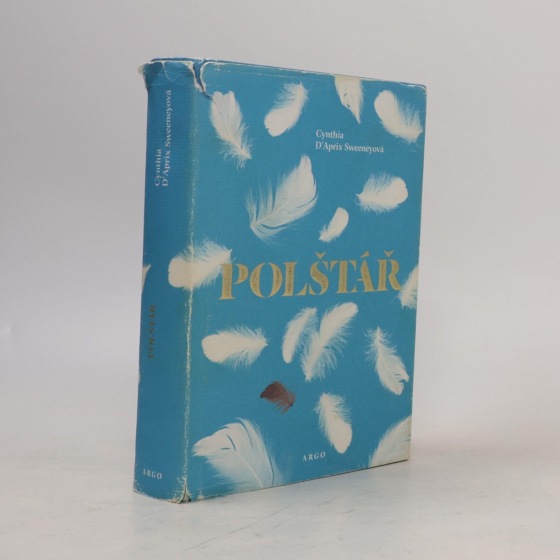 Cynthia D'Aprix Sweeney Polštář