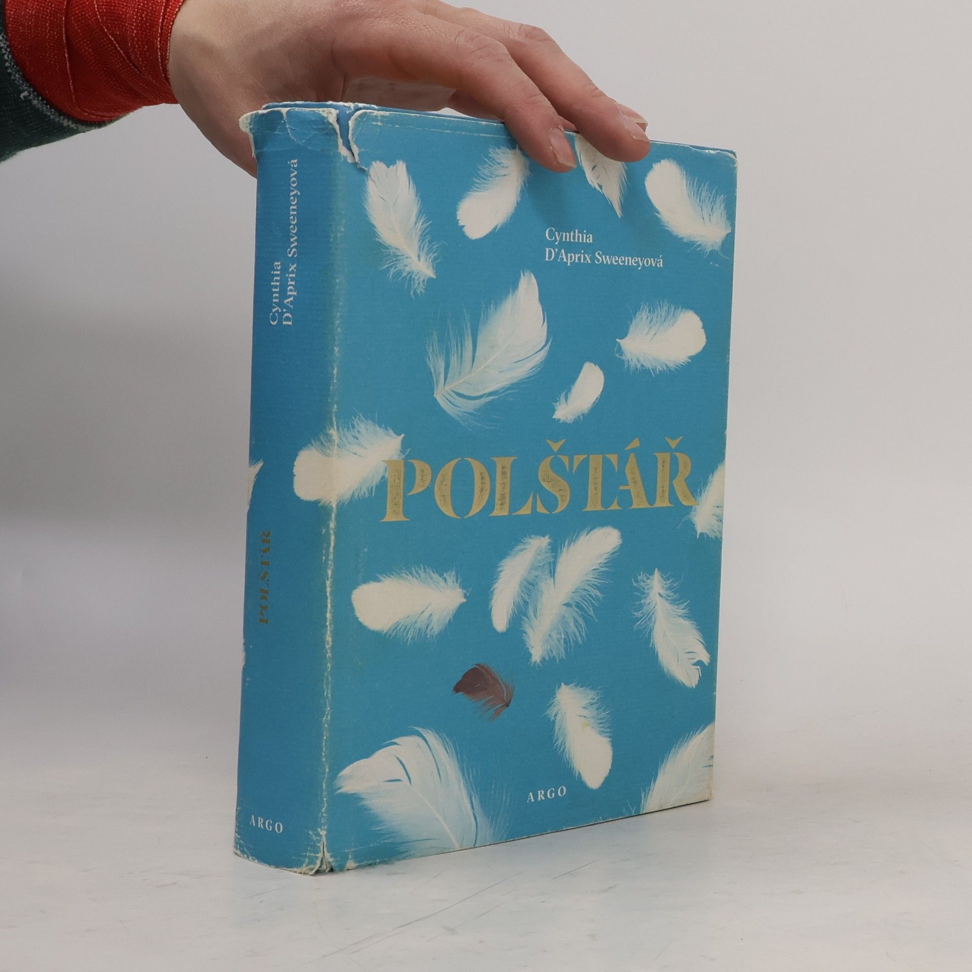 Cynthia D'Aprix Sweeney Polštář