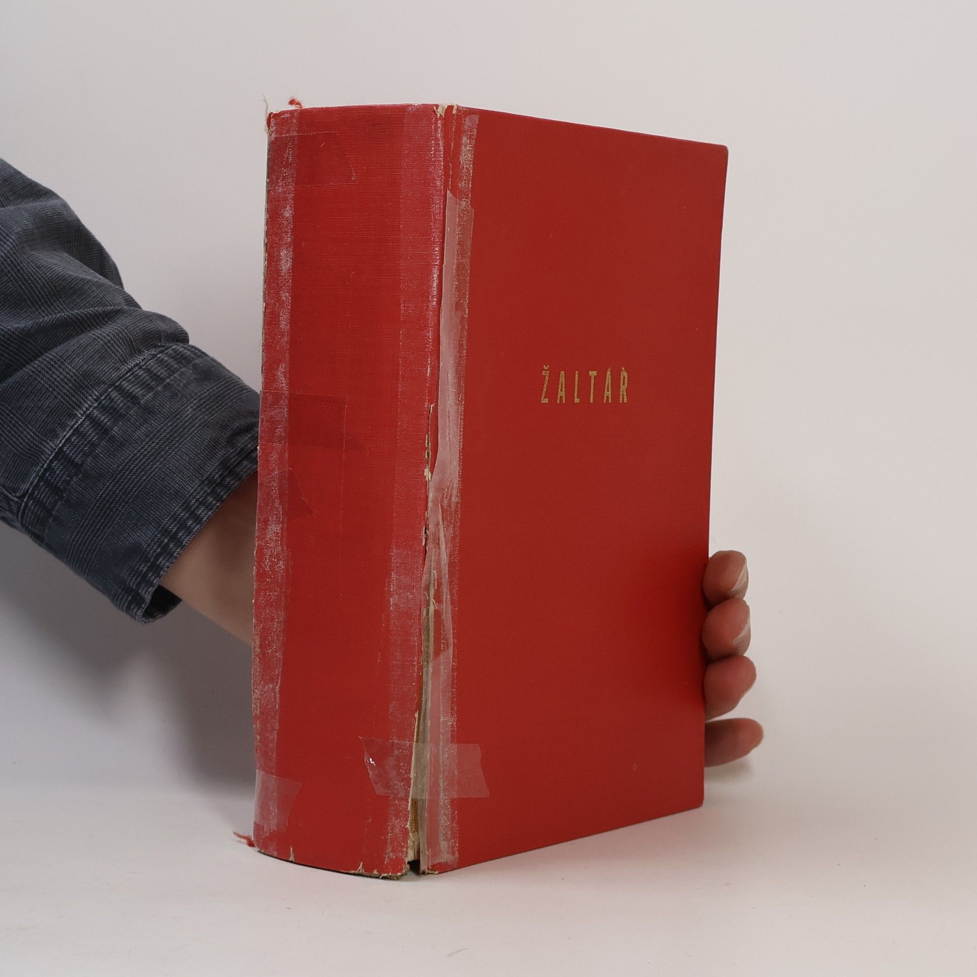 Kolektiv autorů Liturgie hodin. Žaltář