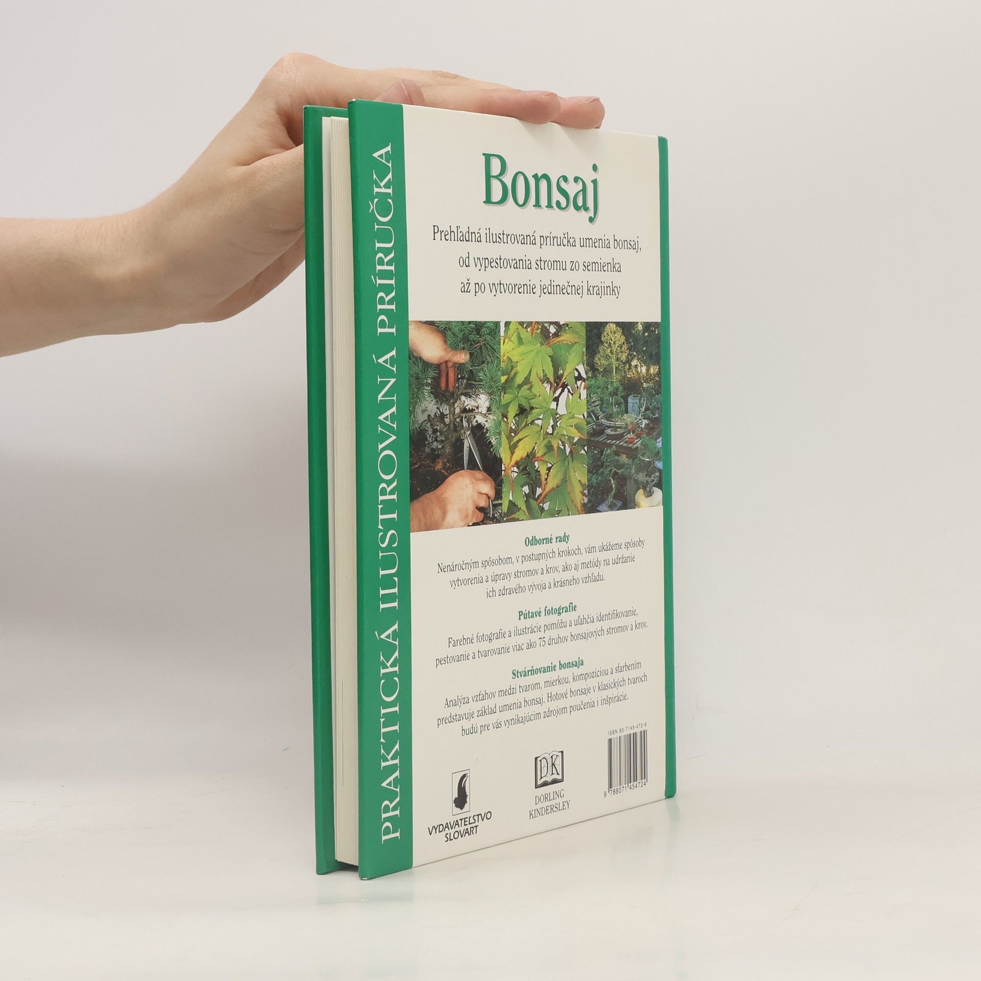 Autorenkollektiv Bonsaj