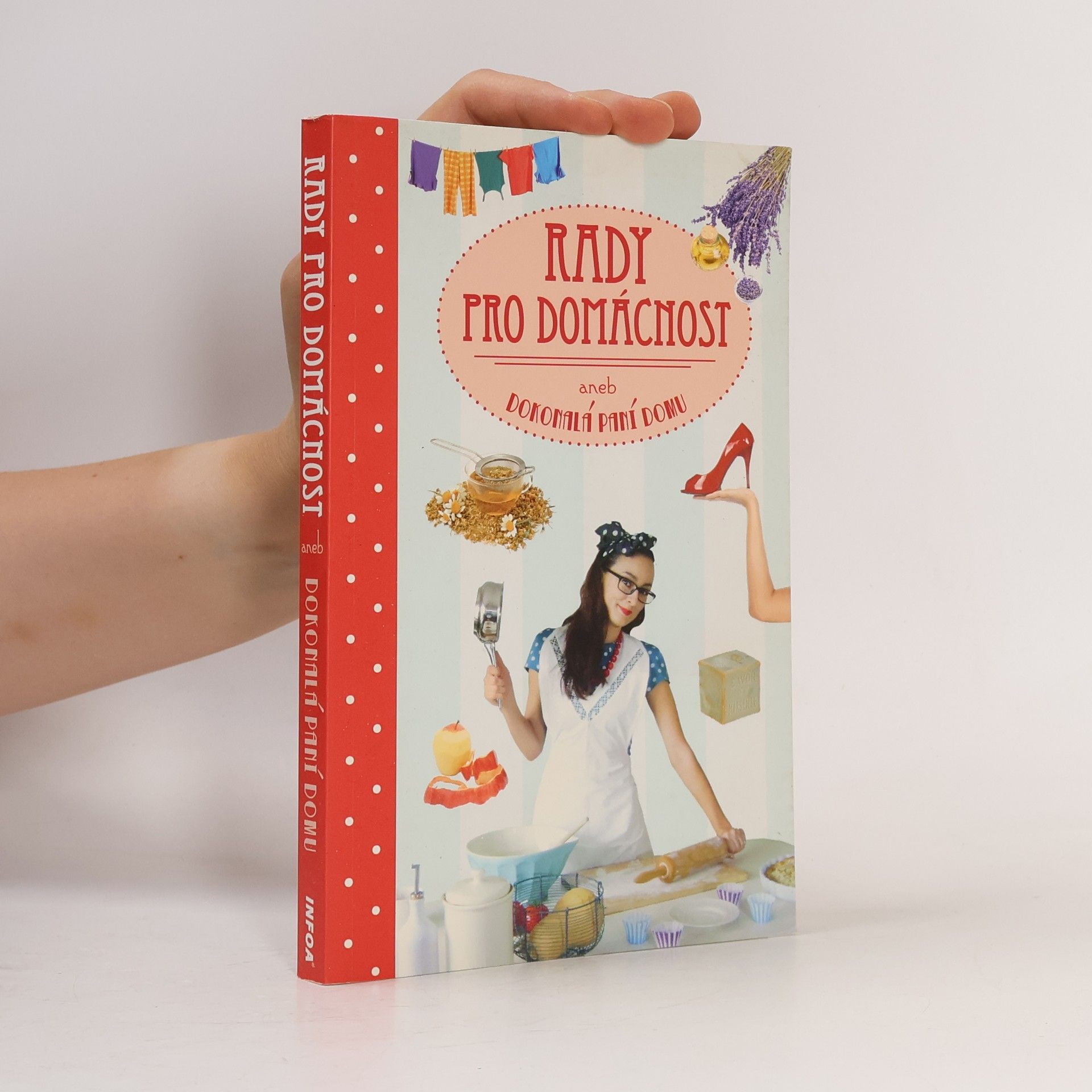 Autorenkollektiv Rady pro domácnost, aneb Dokonalá paní domu