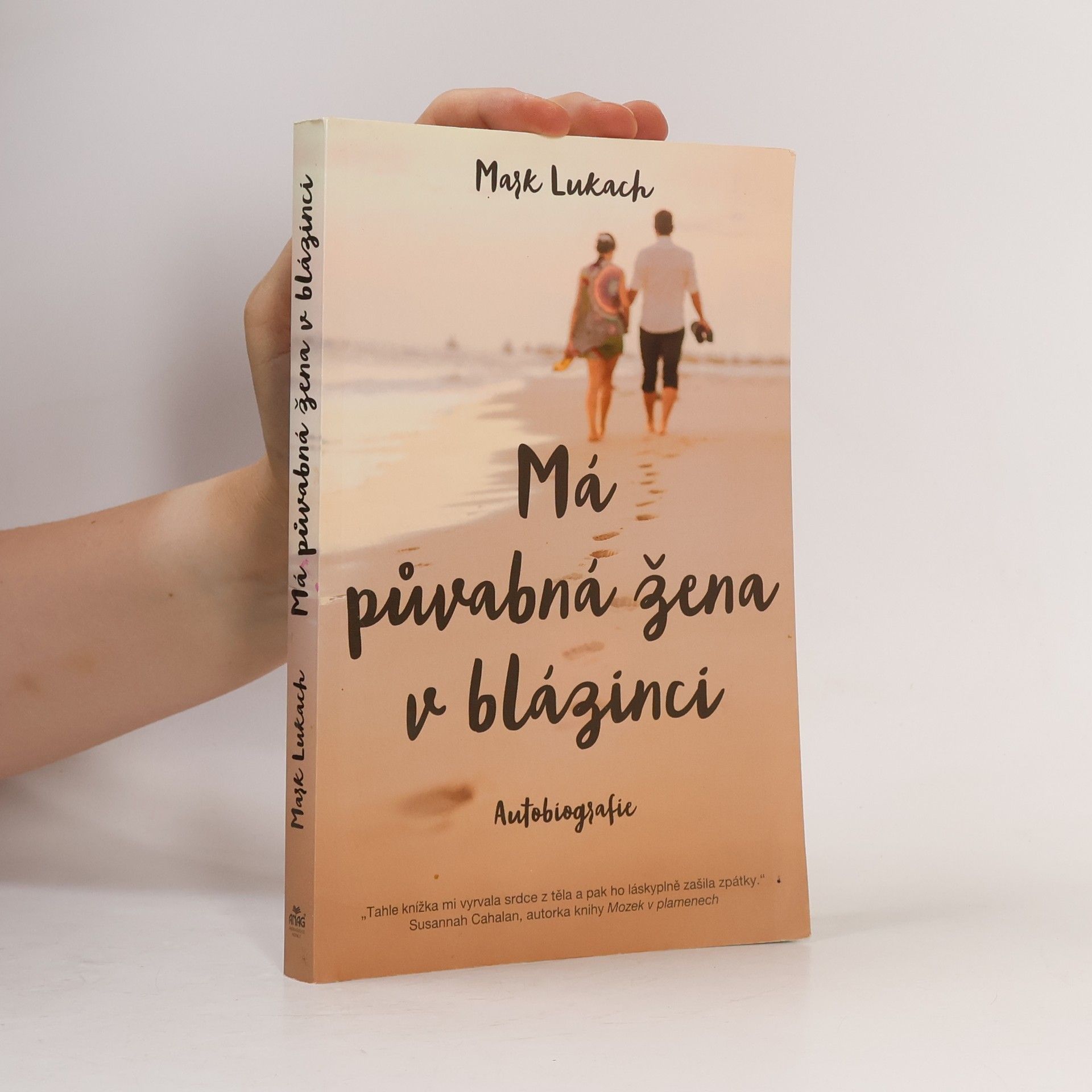 Mark Lukach Má půvabná žena v blázinci : autobiografie