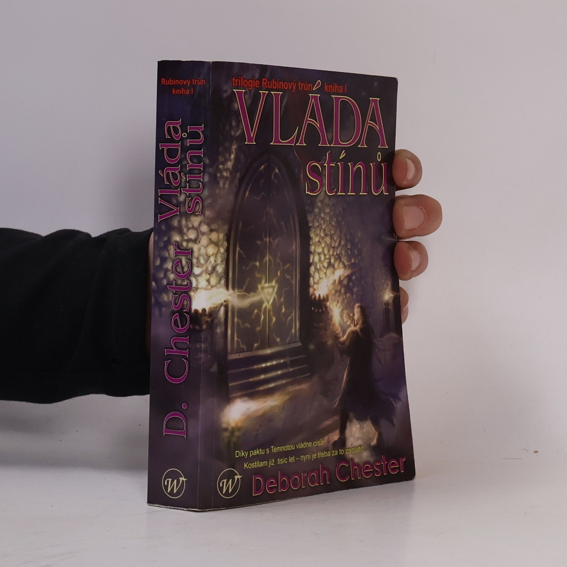 Vláda stínů