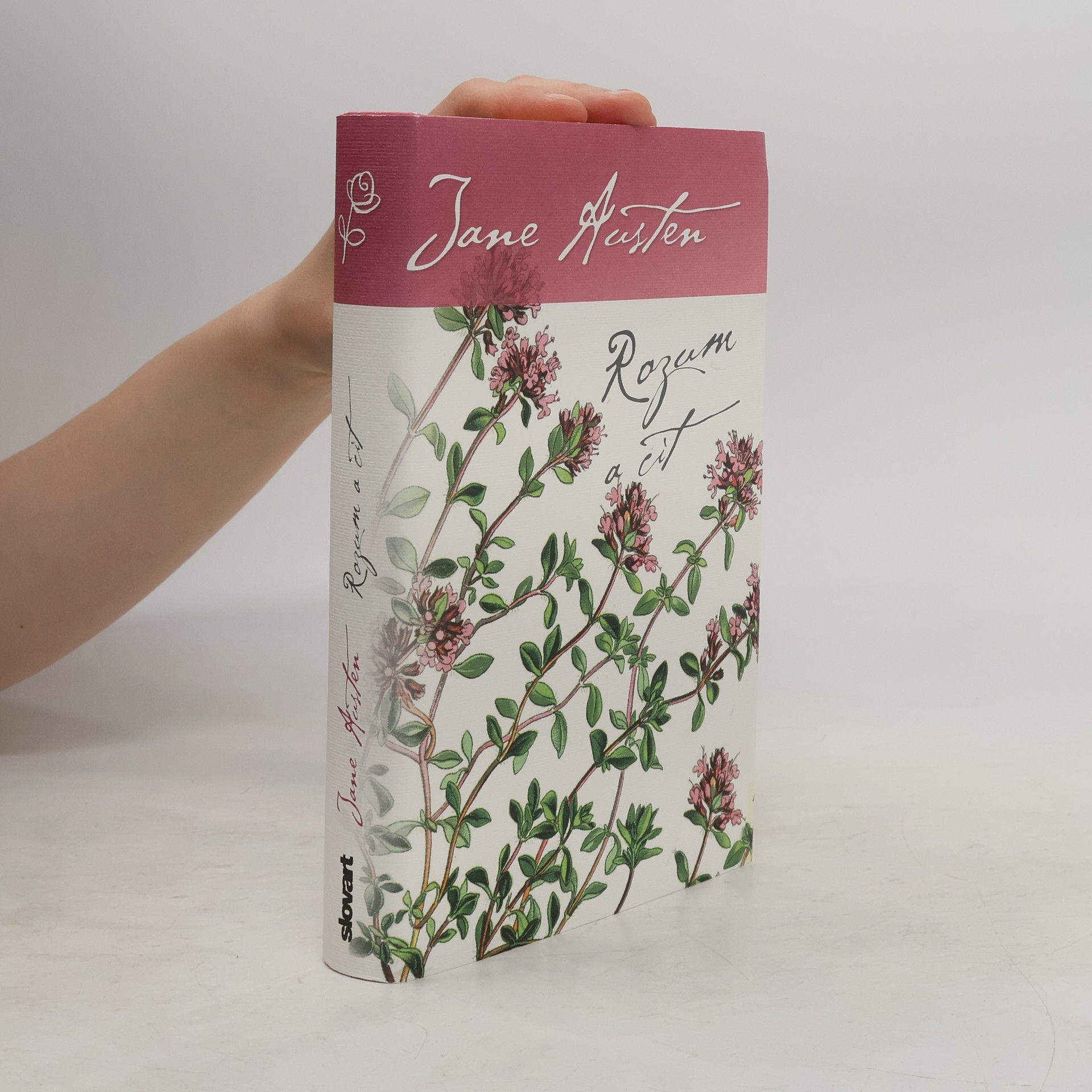 Jane Austen Rozum a cit