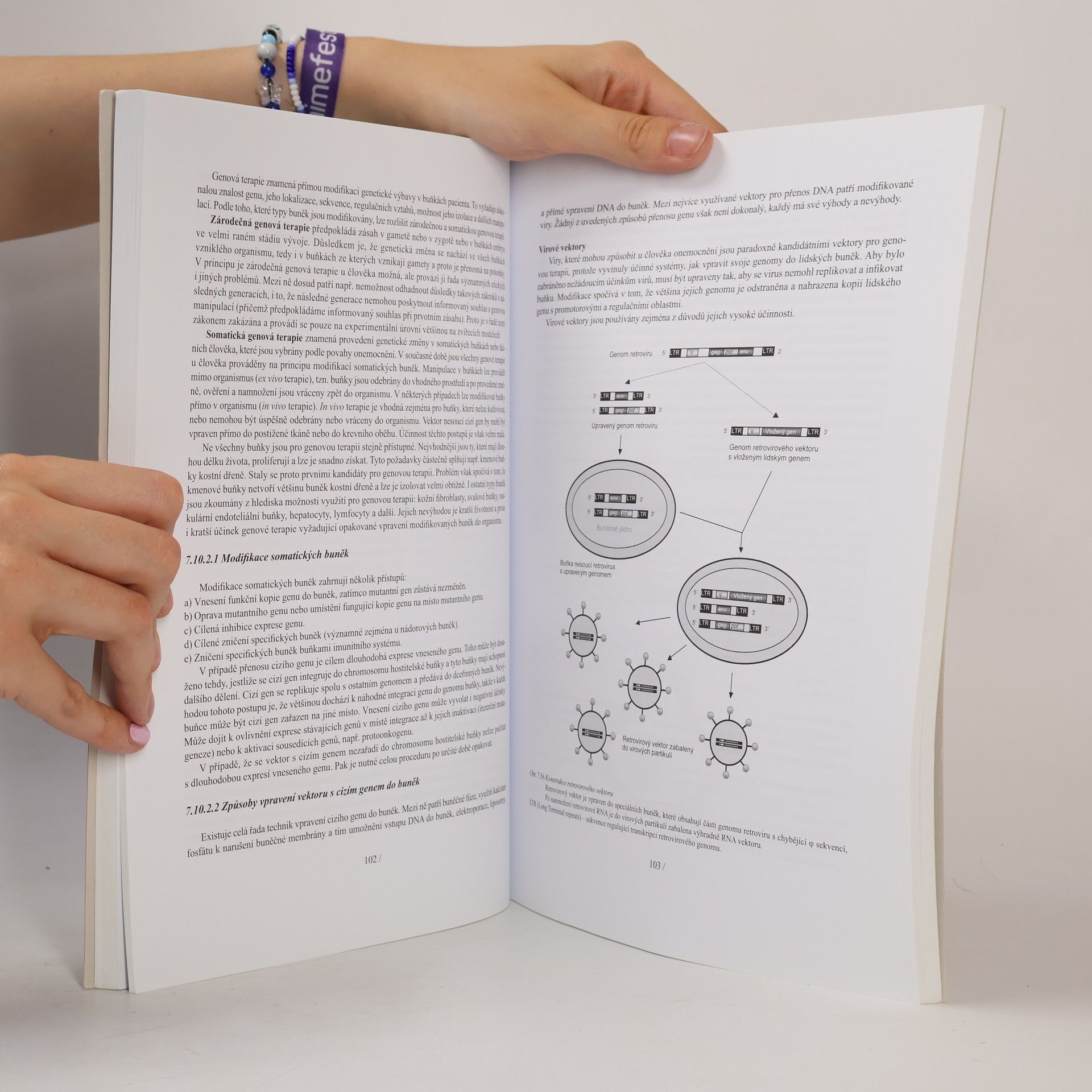 Milada Kohoutova Lékařská biologie a genetika 2.