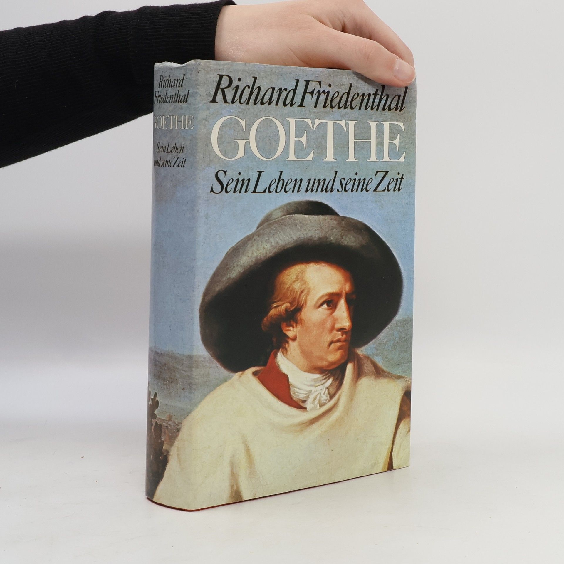 Goethe. Sein Leben und seine Zeit