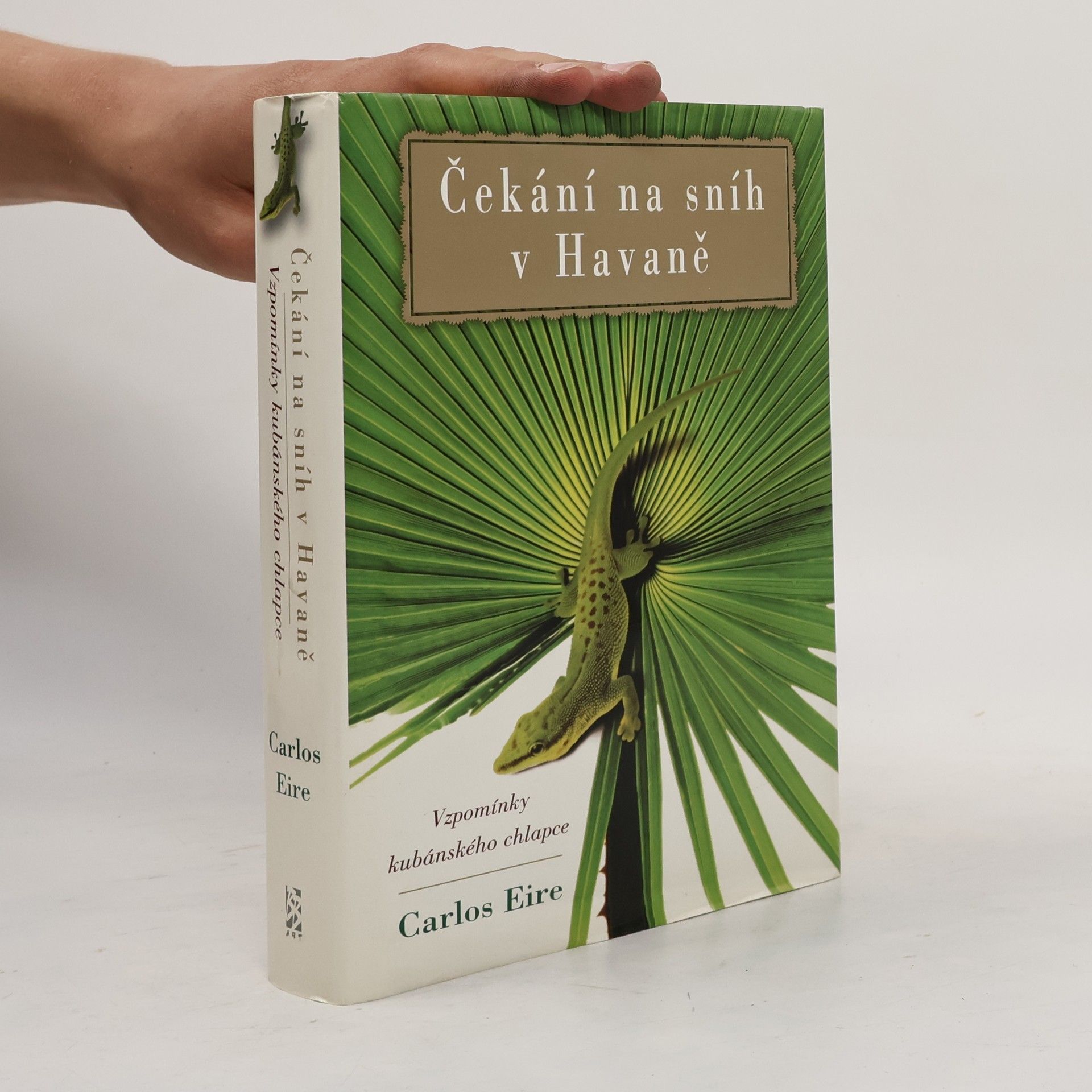 Carlos M. N. Eire Čekání na sníh v Havaně