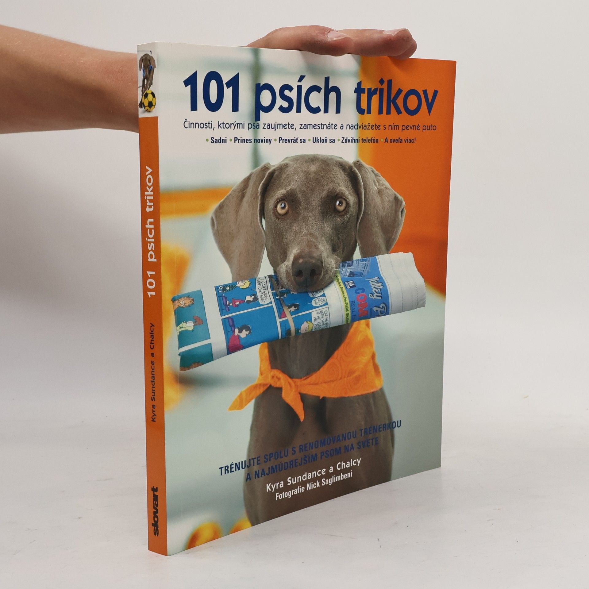 Kyra Sundance 101 psích trikov