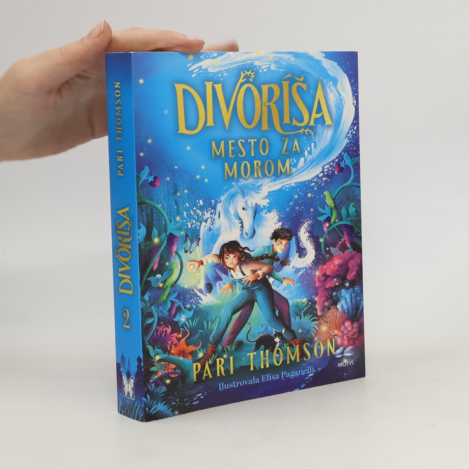 Pari Thomson Divoríša. Mesto za morom