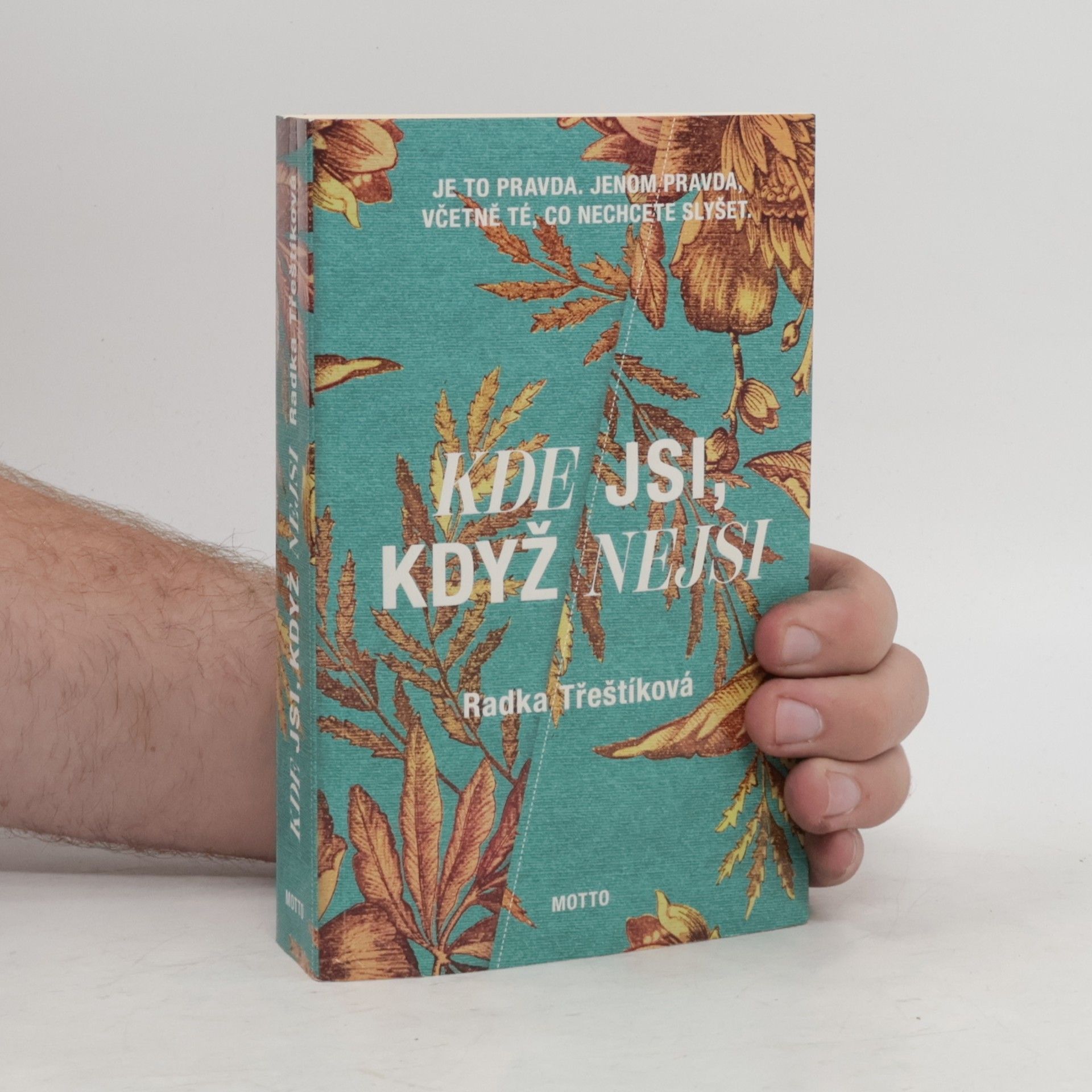 Radka Třeštíková Kde jsi, když nejsi