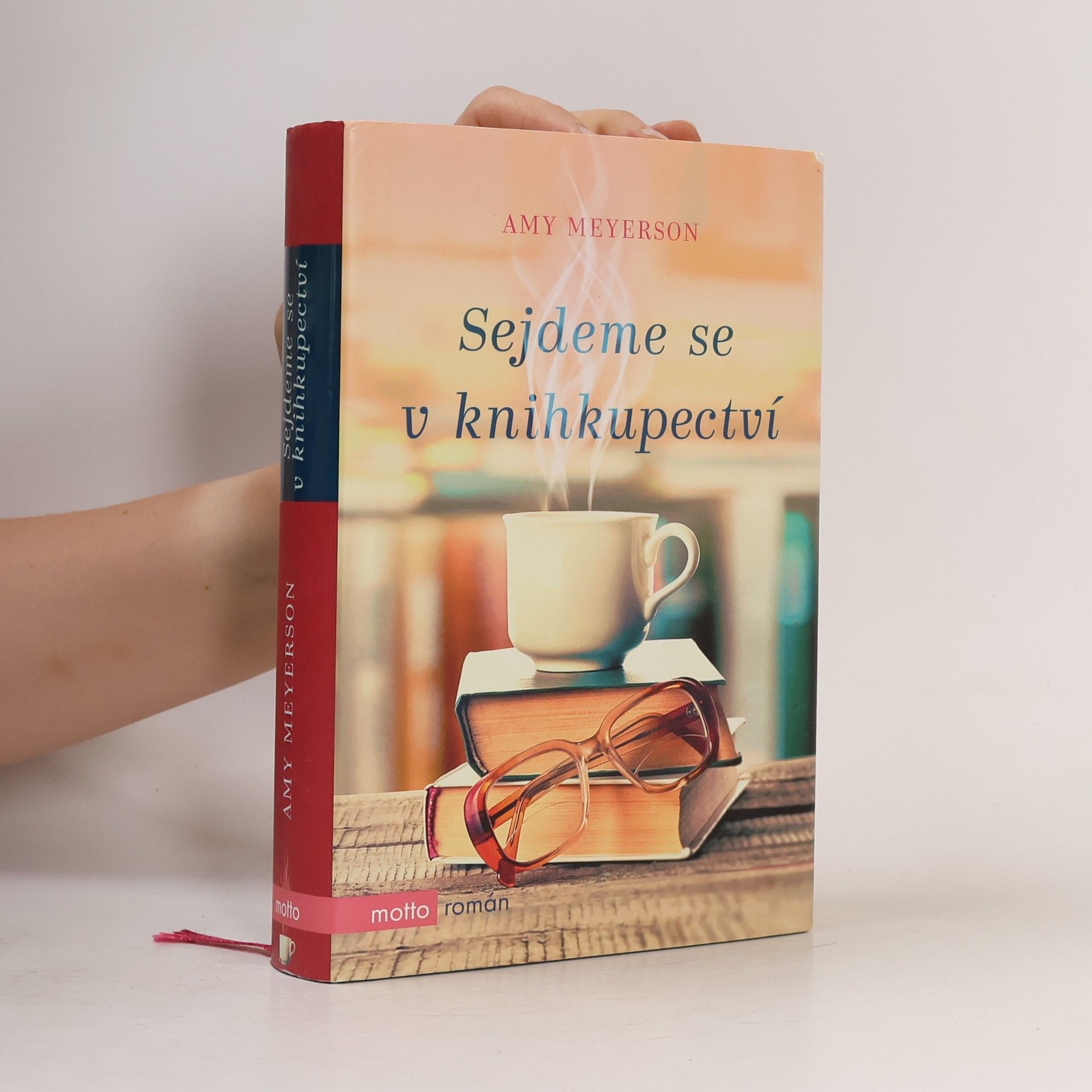 Amy Meyerson Sejdeme se v knihkupectví
