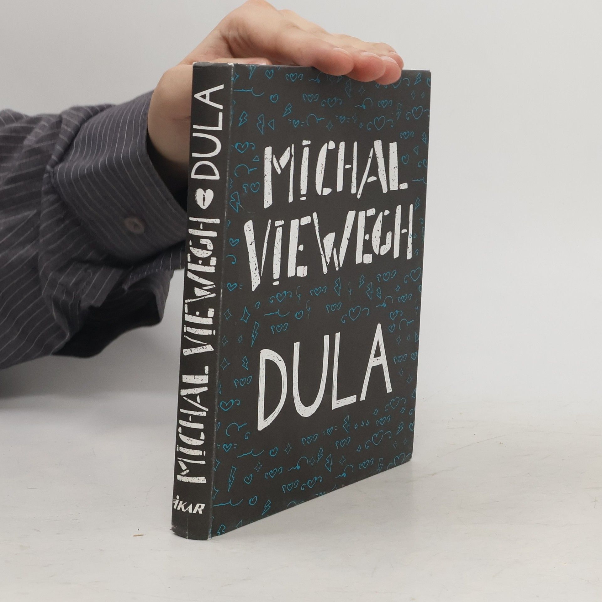 Michal Viewegh Dula