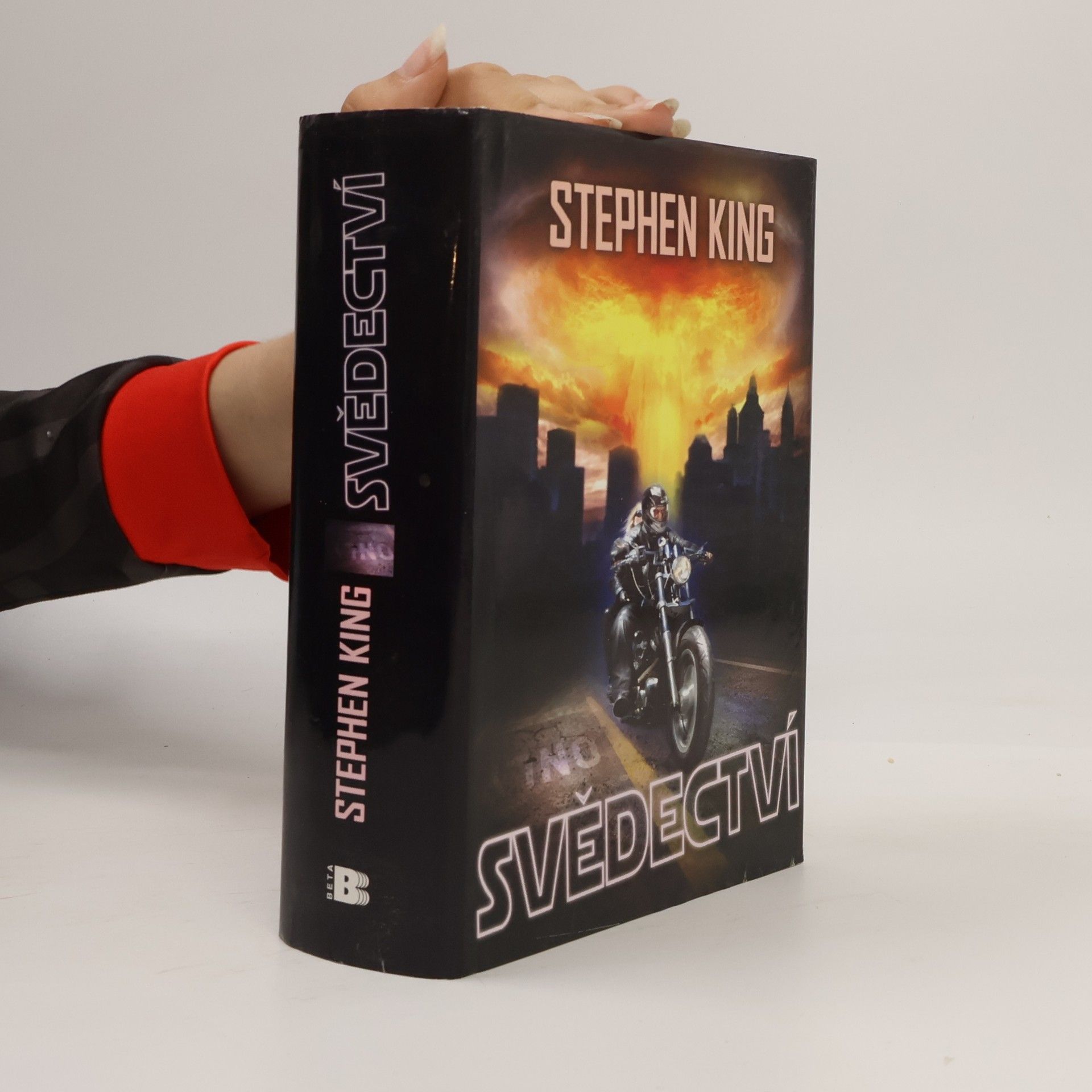 Stephen King Svědectví